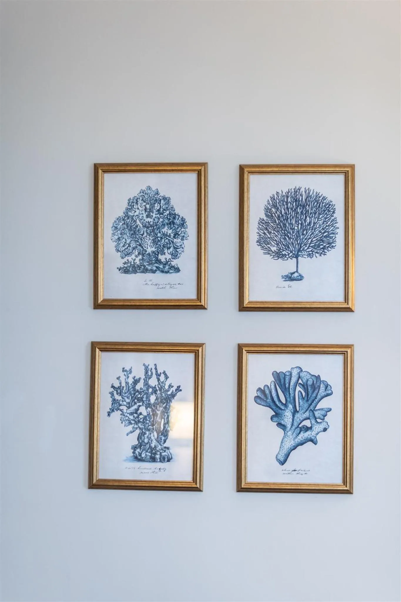 Decorative detail in Marshall Meadows Manor House