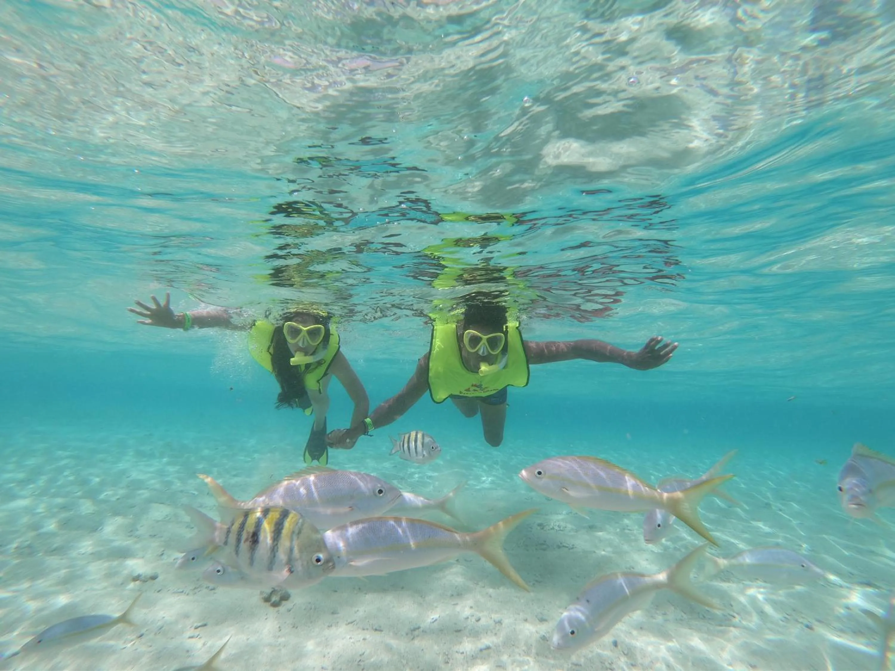 Snorkeling in Paradise Island Beach Resort