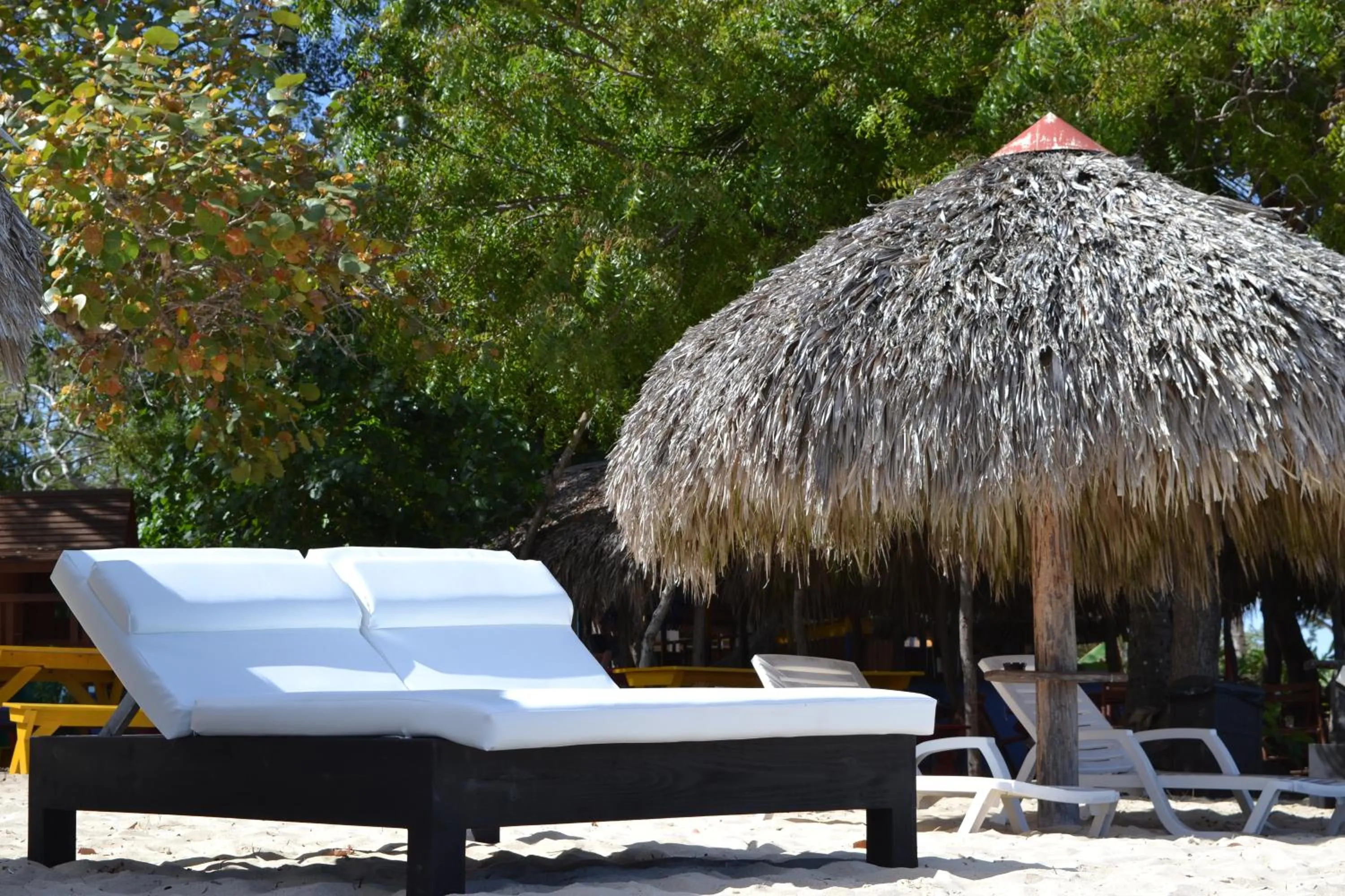 Beach in Paradise Island Beach Resort
