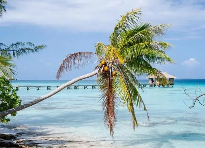 Sunset Hill Lodge Sunset Hill Lodge