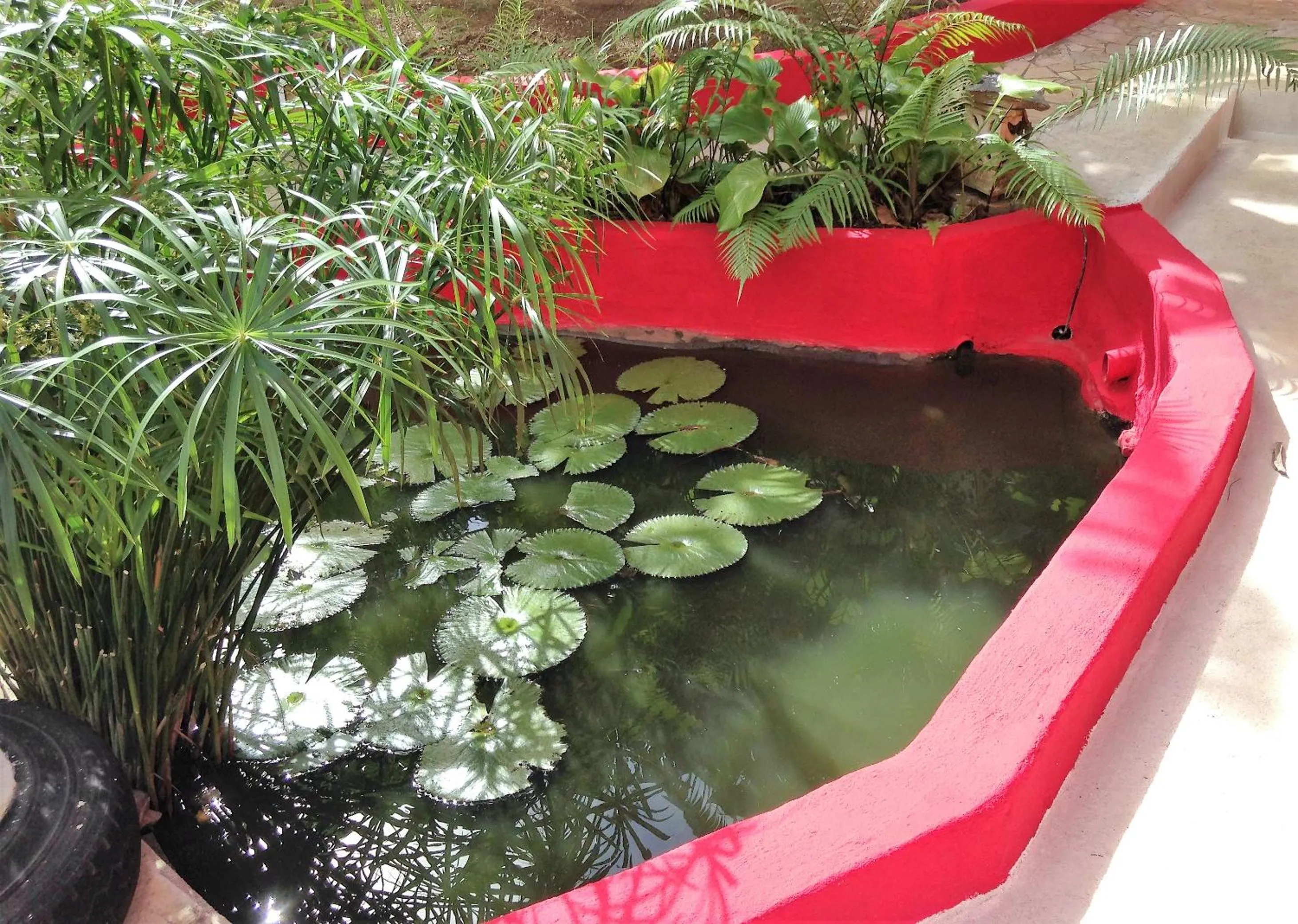 Garden view in Sunset Hill Lodge