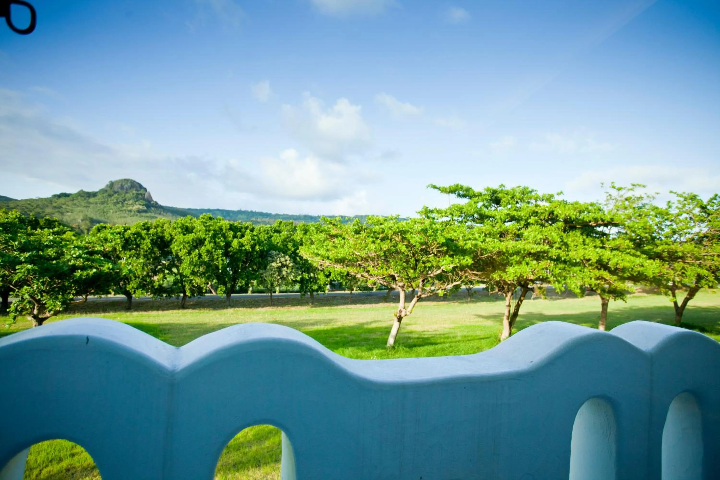 Garden in Millennium Inn