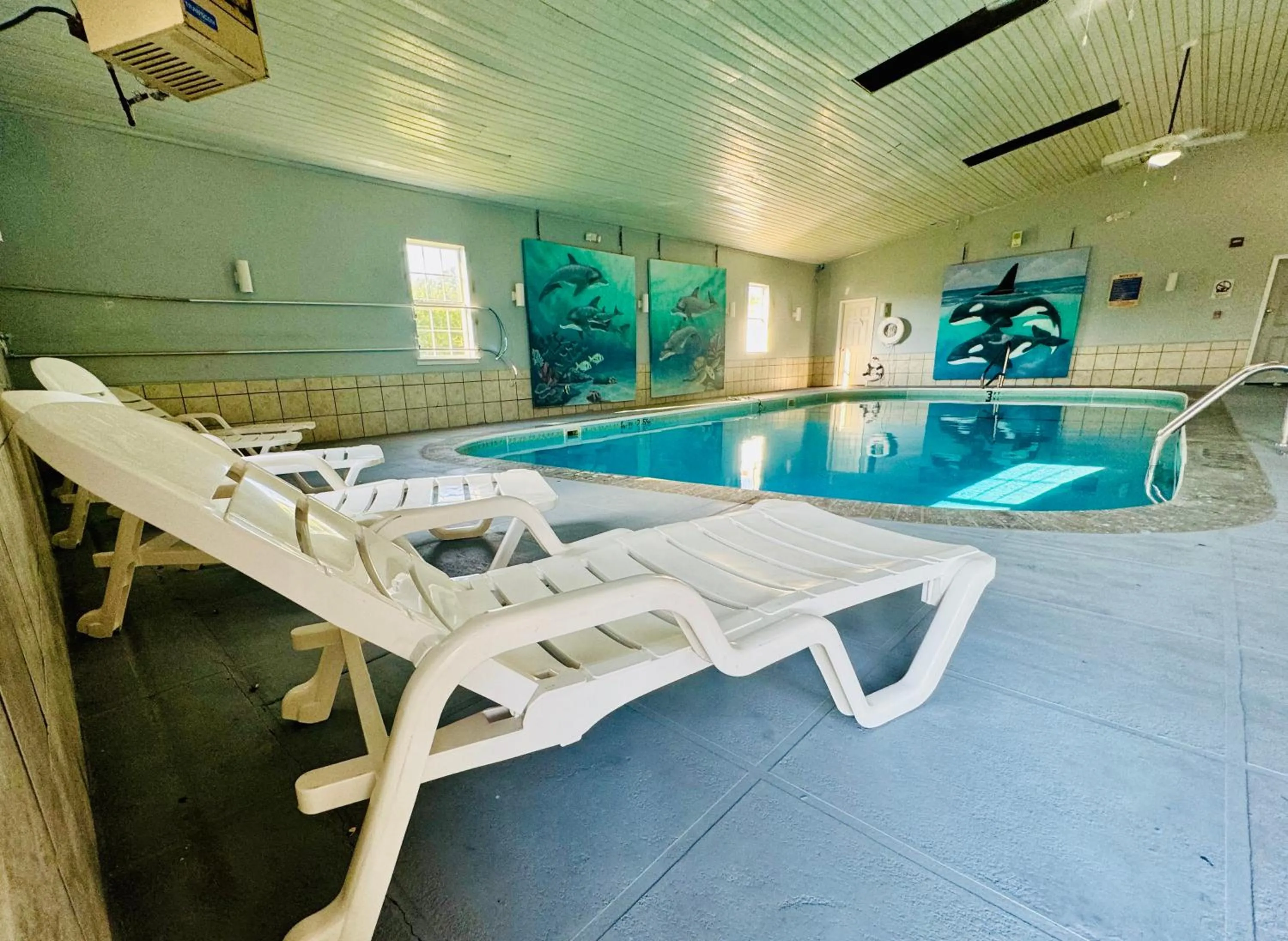 Swimming pool in Ozark Inn and Suites