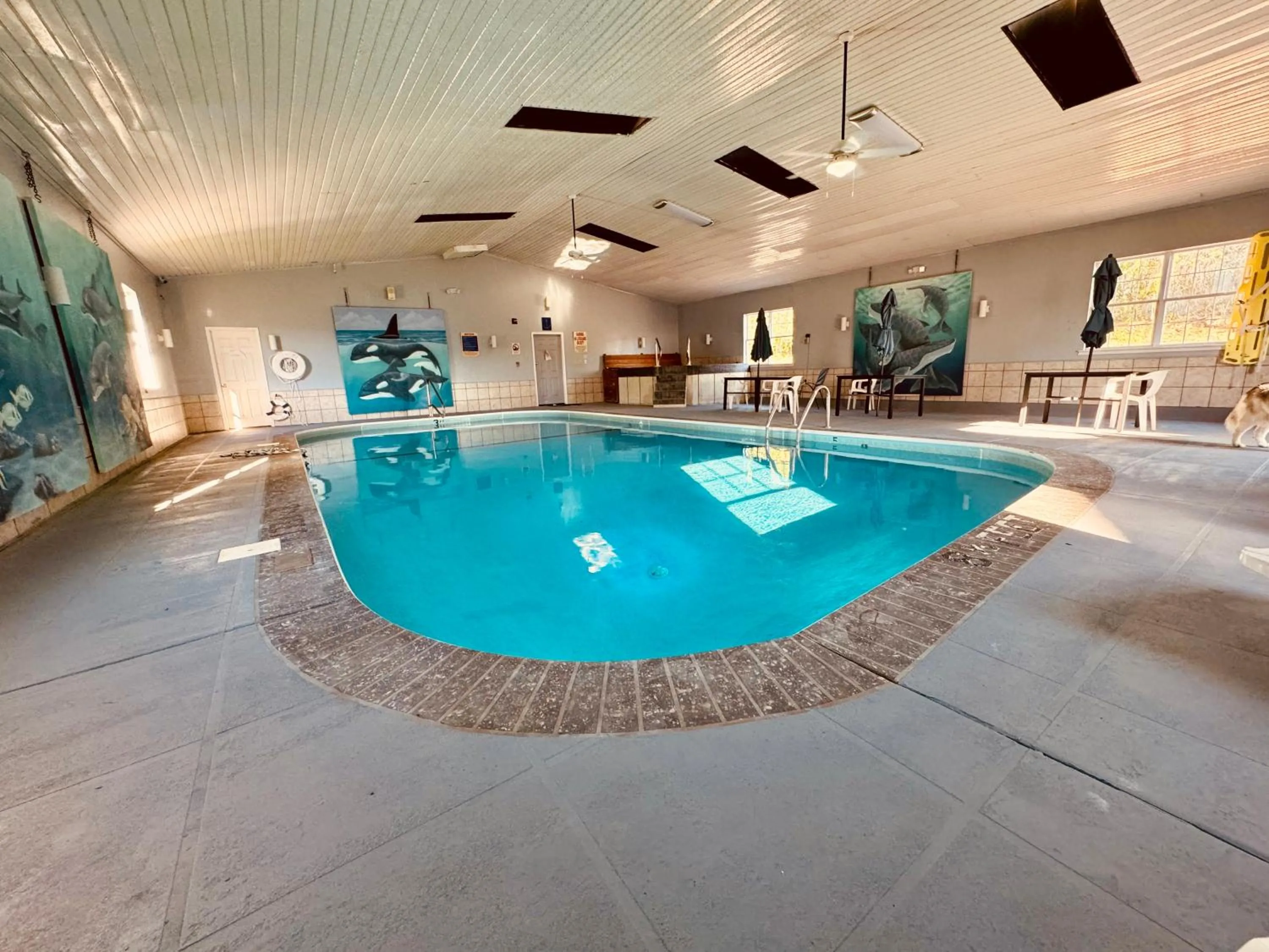 Pool view in Ozark Inn and Suites