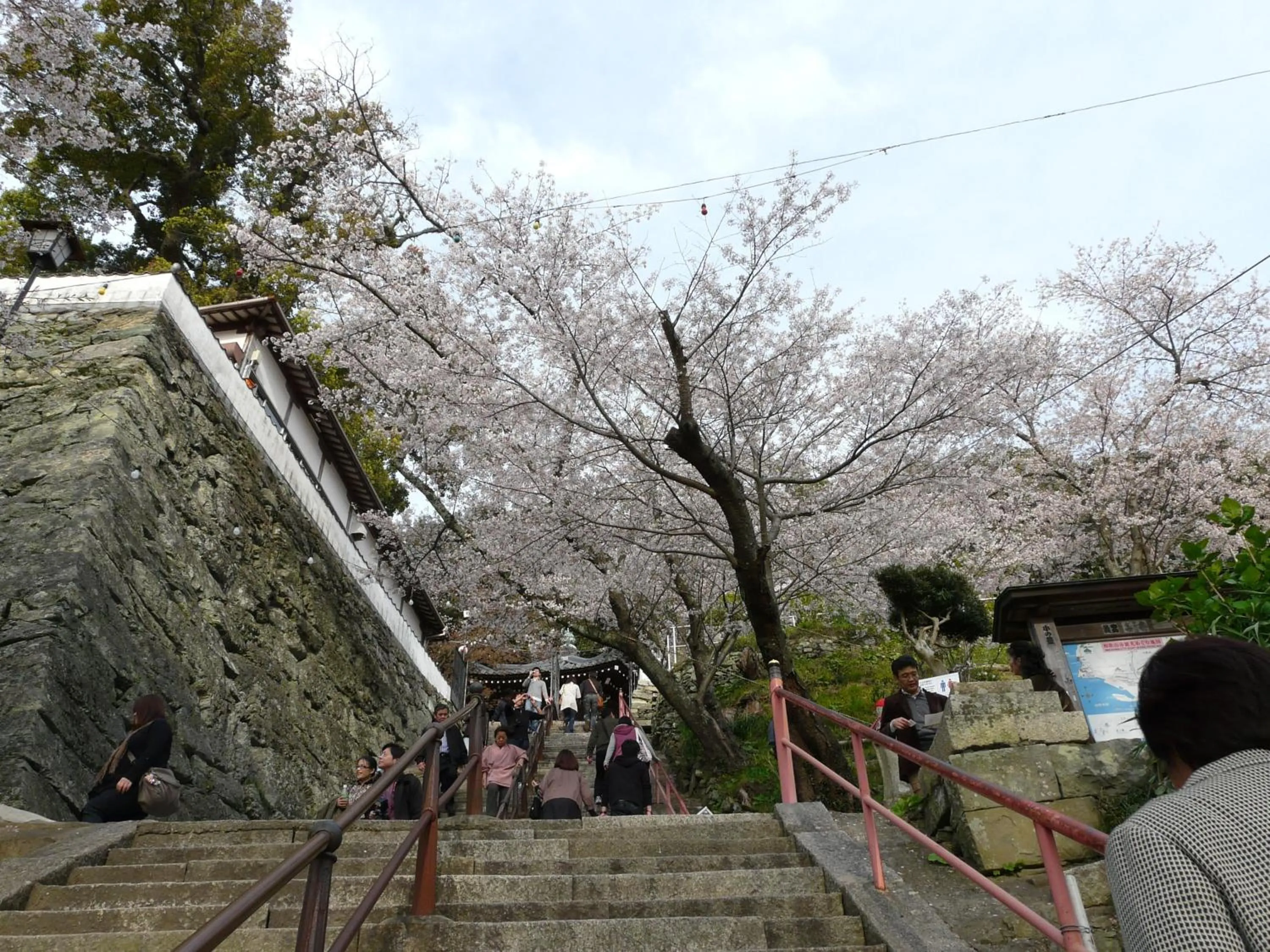 Spring in Shinwaka Lodge
