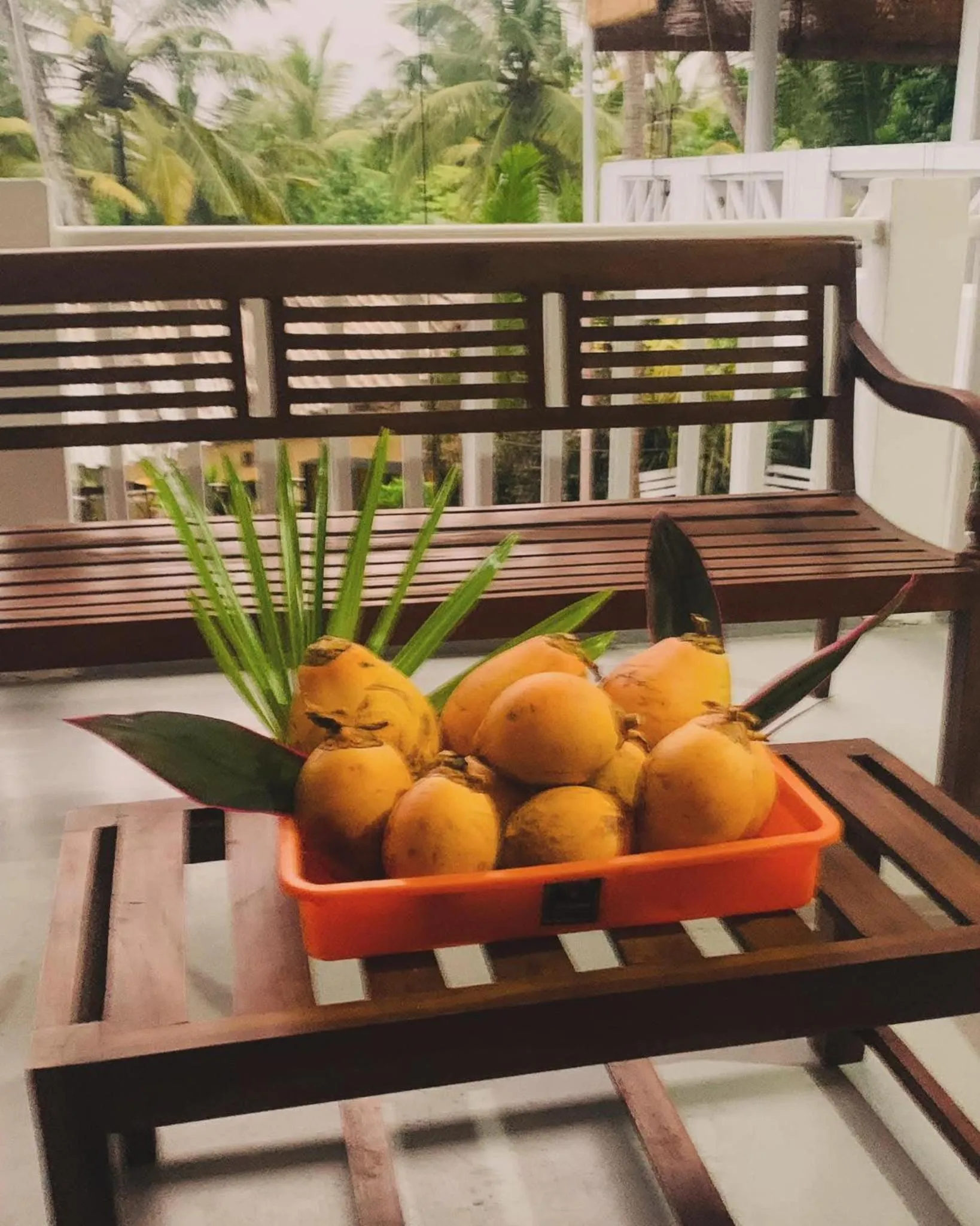 Asanka Surf House & Restaurant with pool