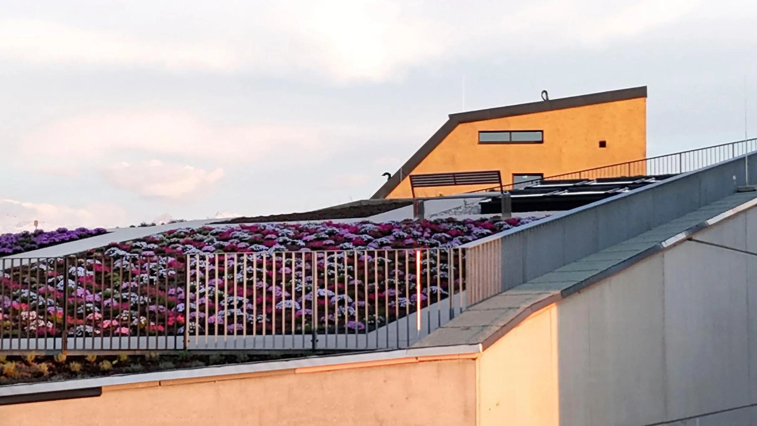 Garden view in Hotel im Zentrum für Visionen