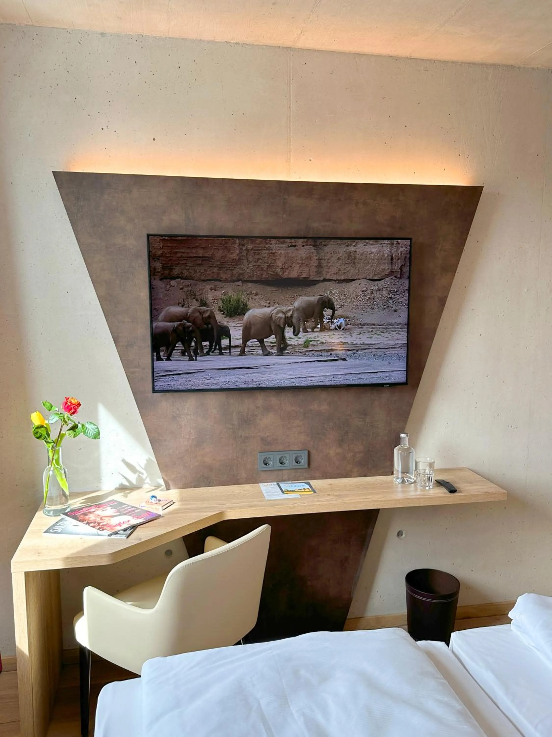 TV and multimedia in Hotel im Zentrum für Visionen