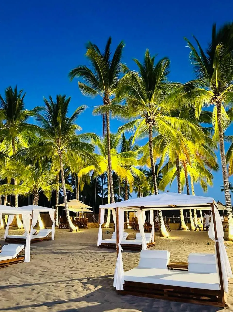 Natural landscape in Station One Beach Resort