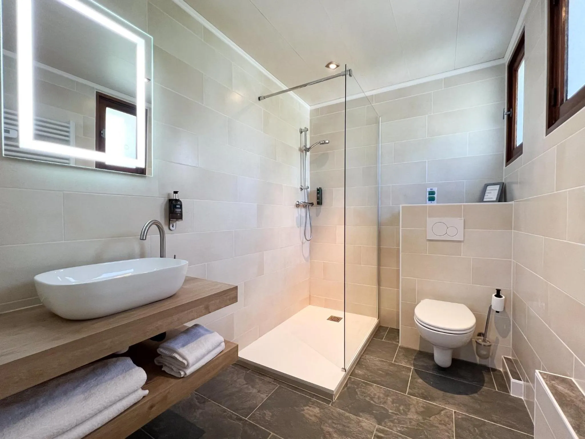 Toilet in Hôtel Spa & Restaurant Ô Pervenches