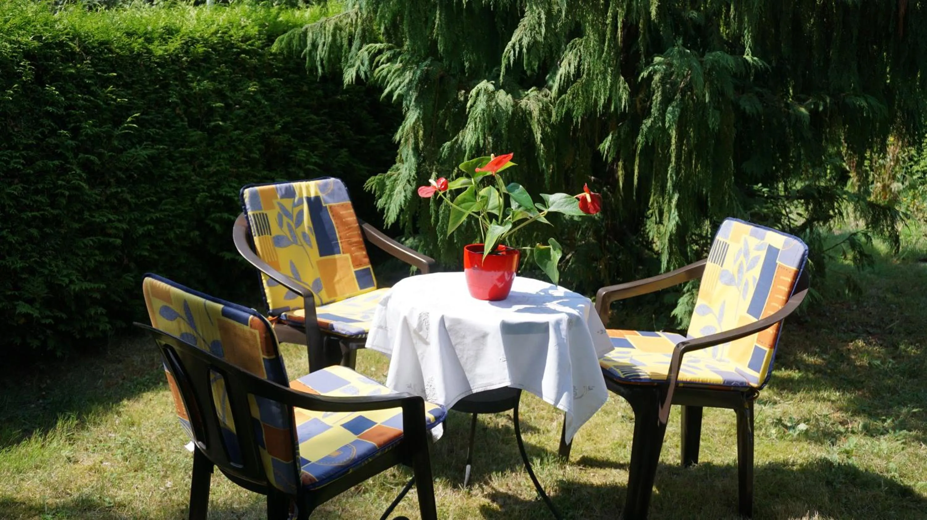 Garden in Gästezimmer Charlotte