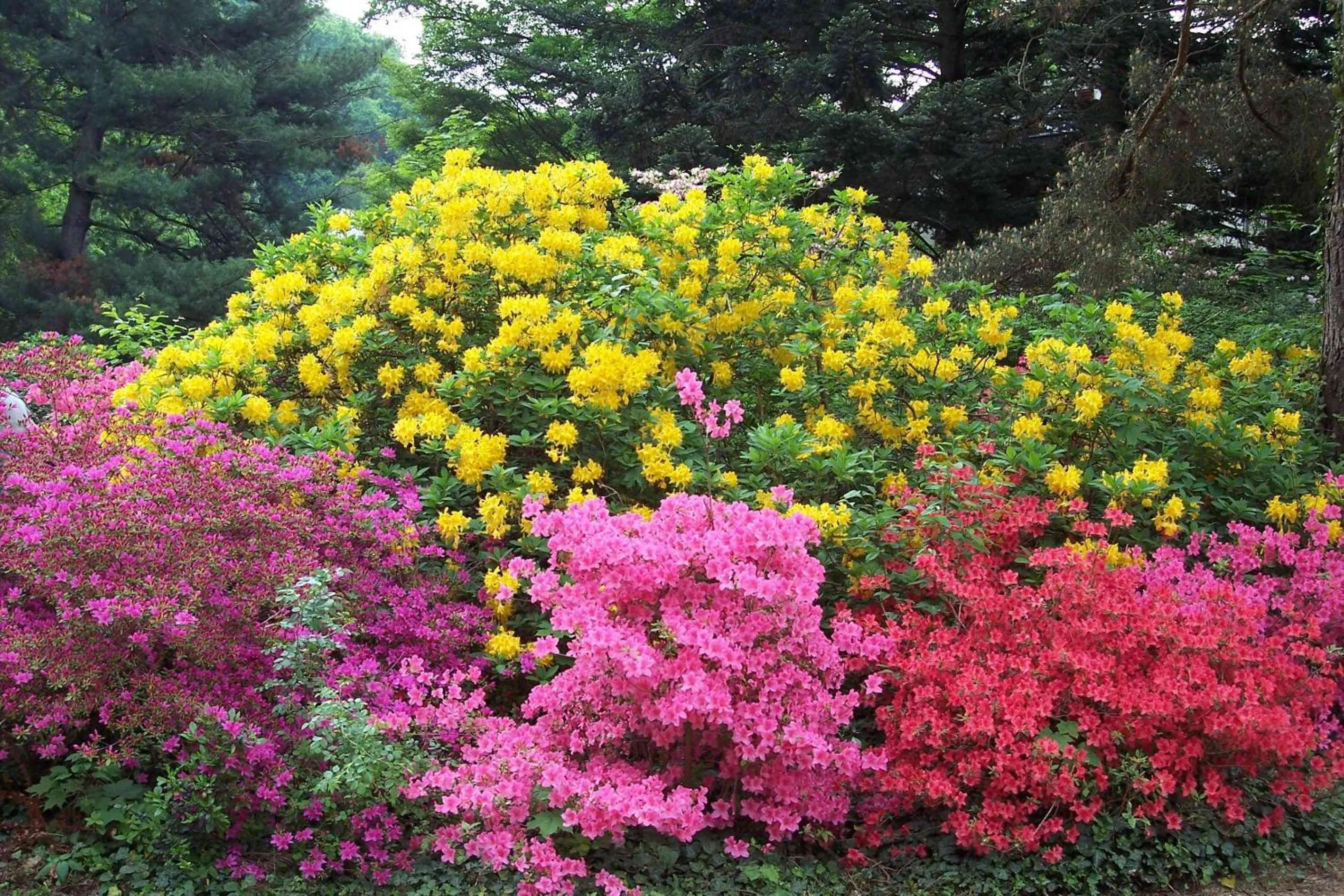 Area and facilities in Gästezimmer Charlotte