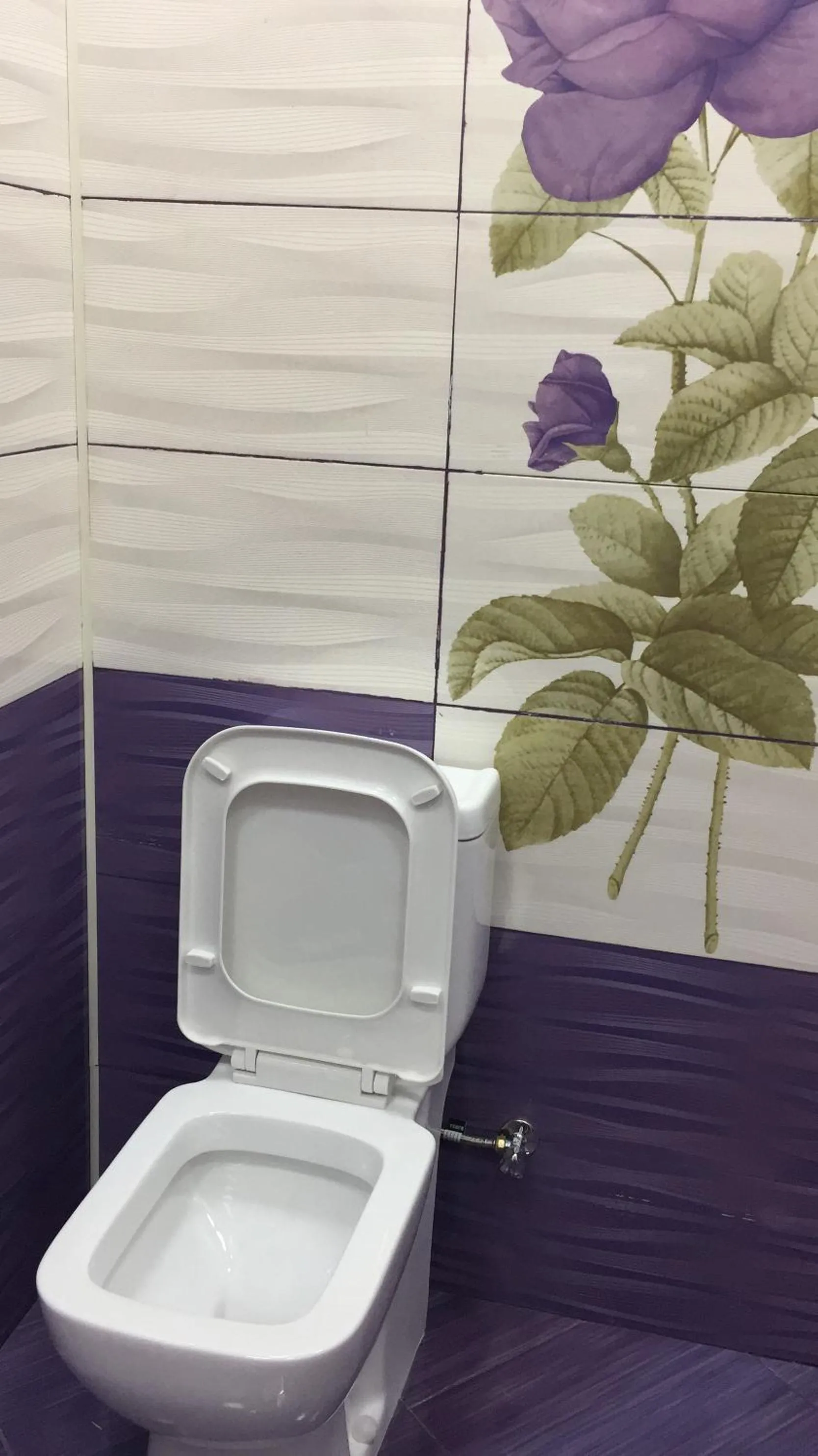 Toilet in Hasanovs Villa