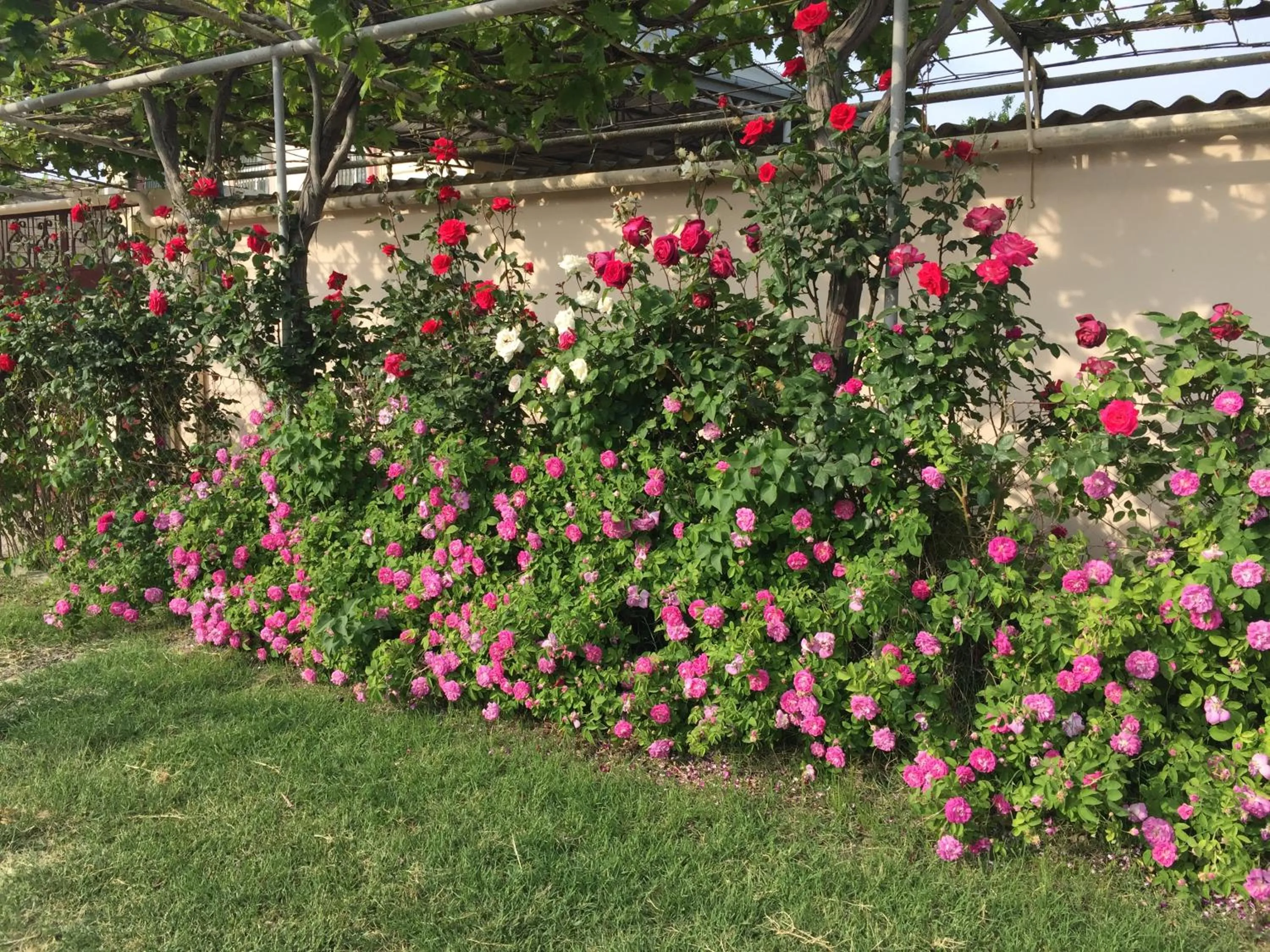 Street view in Hasanovs Villa