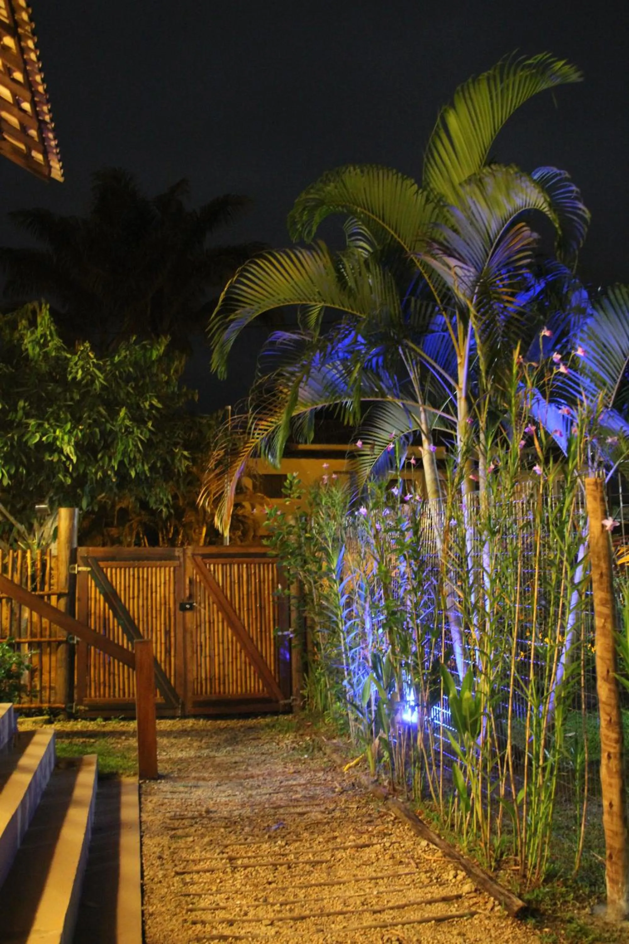 Night in Planeta Banana Paraty