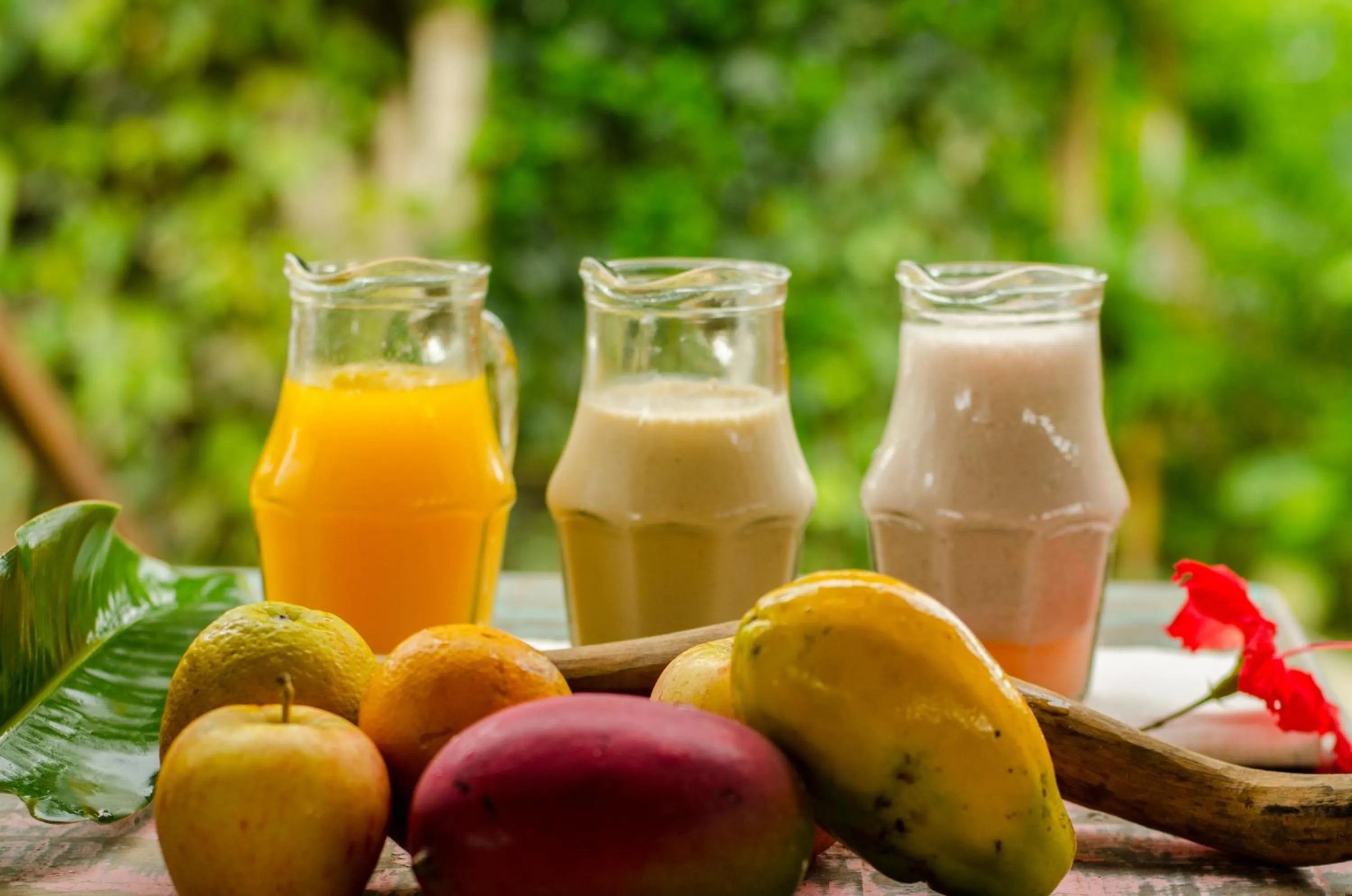 Balcony/Terrace in Planeta Banana Paraty