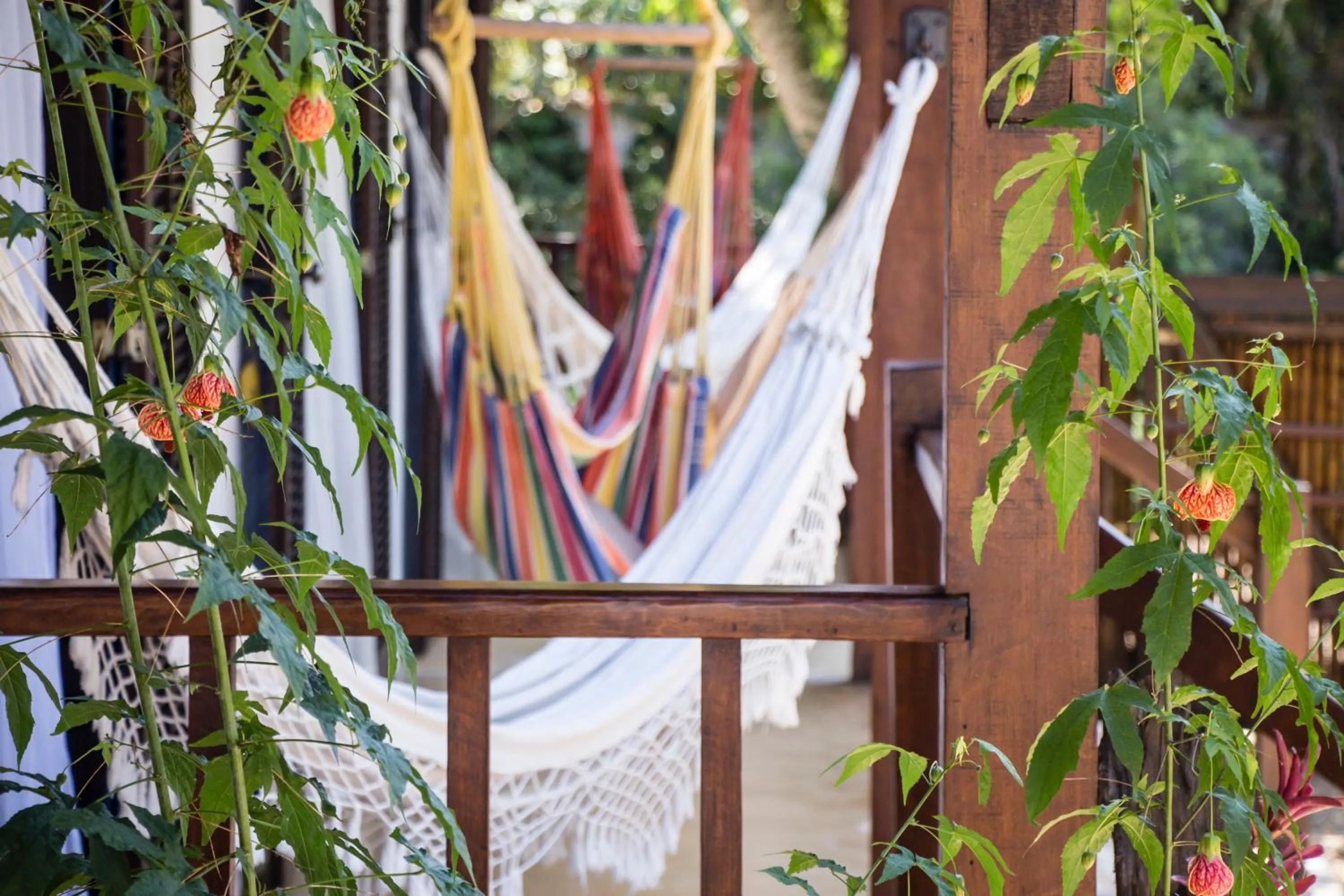 Balcony/Terrace in Planeta Banana Paraty