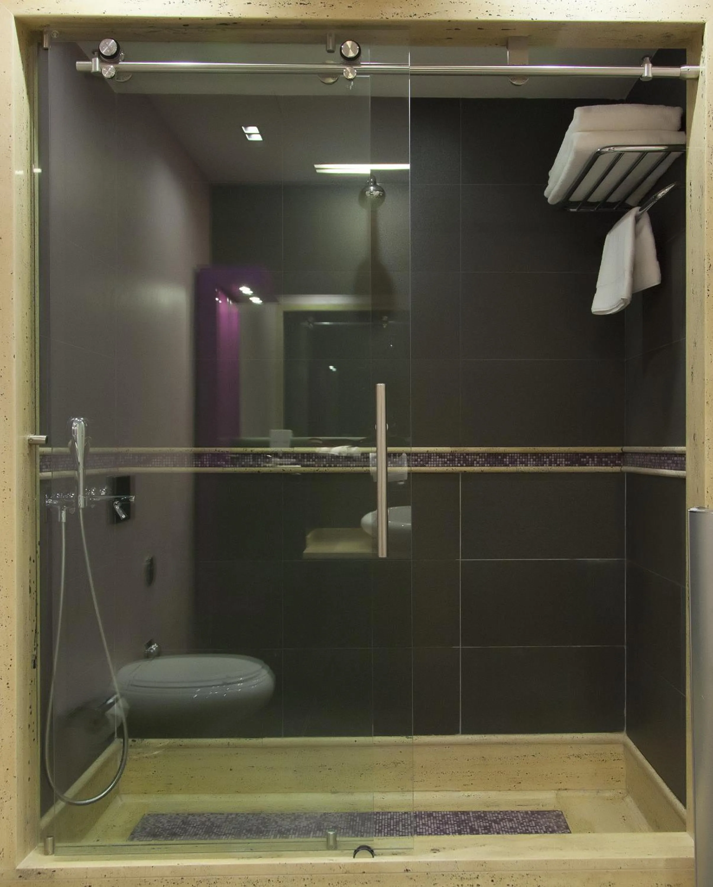 Shower in The Leos Residence