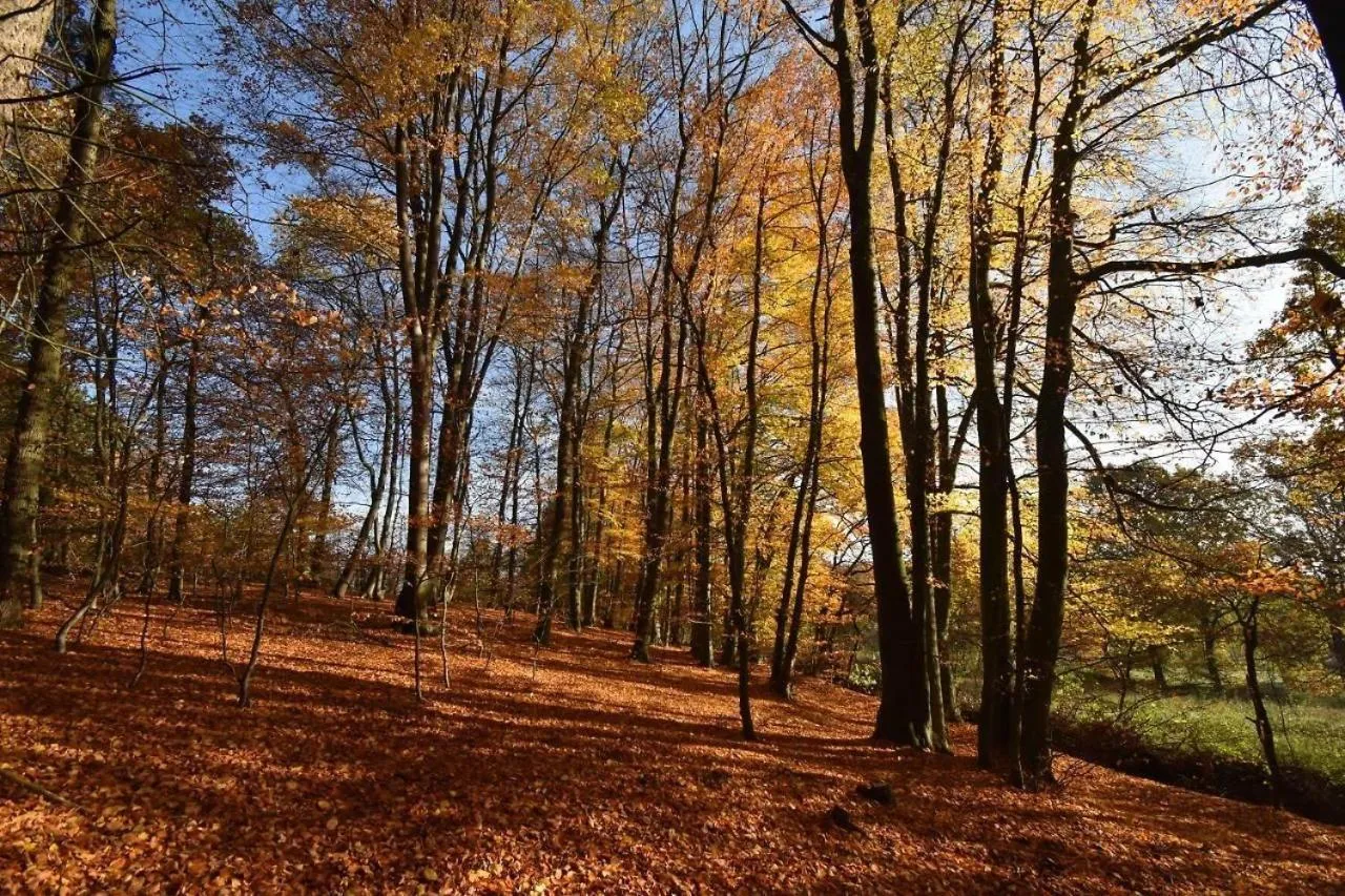 Natural landscape in Hotel Damme