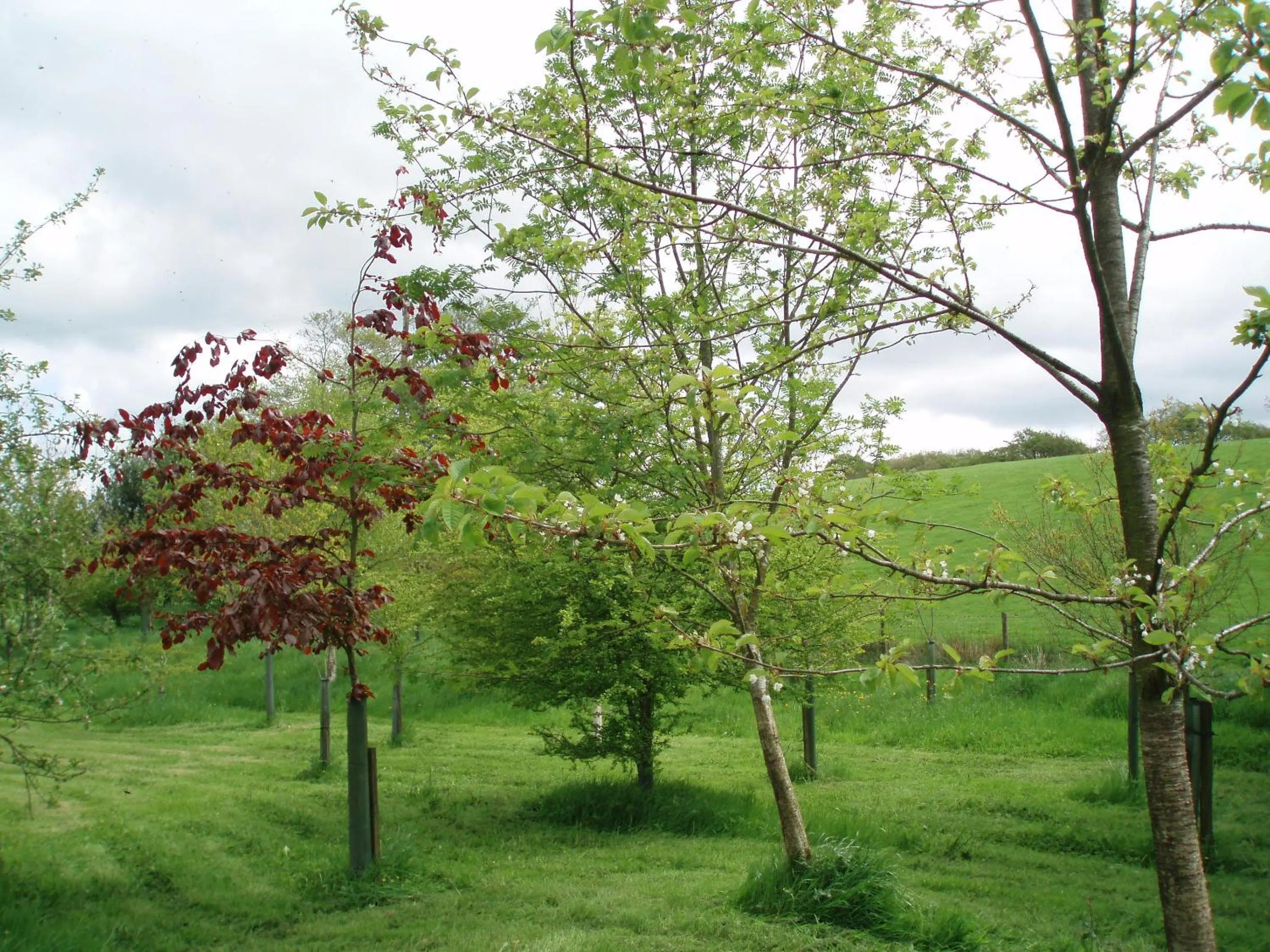 Spring in Foxhill Barn