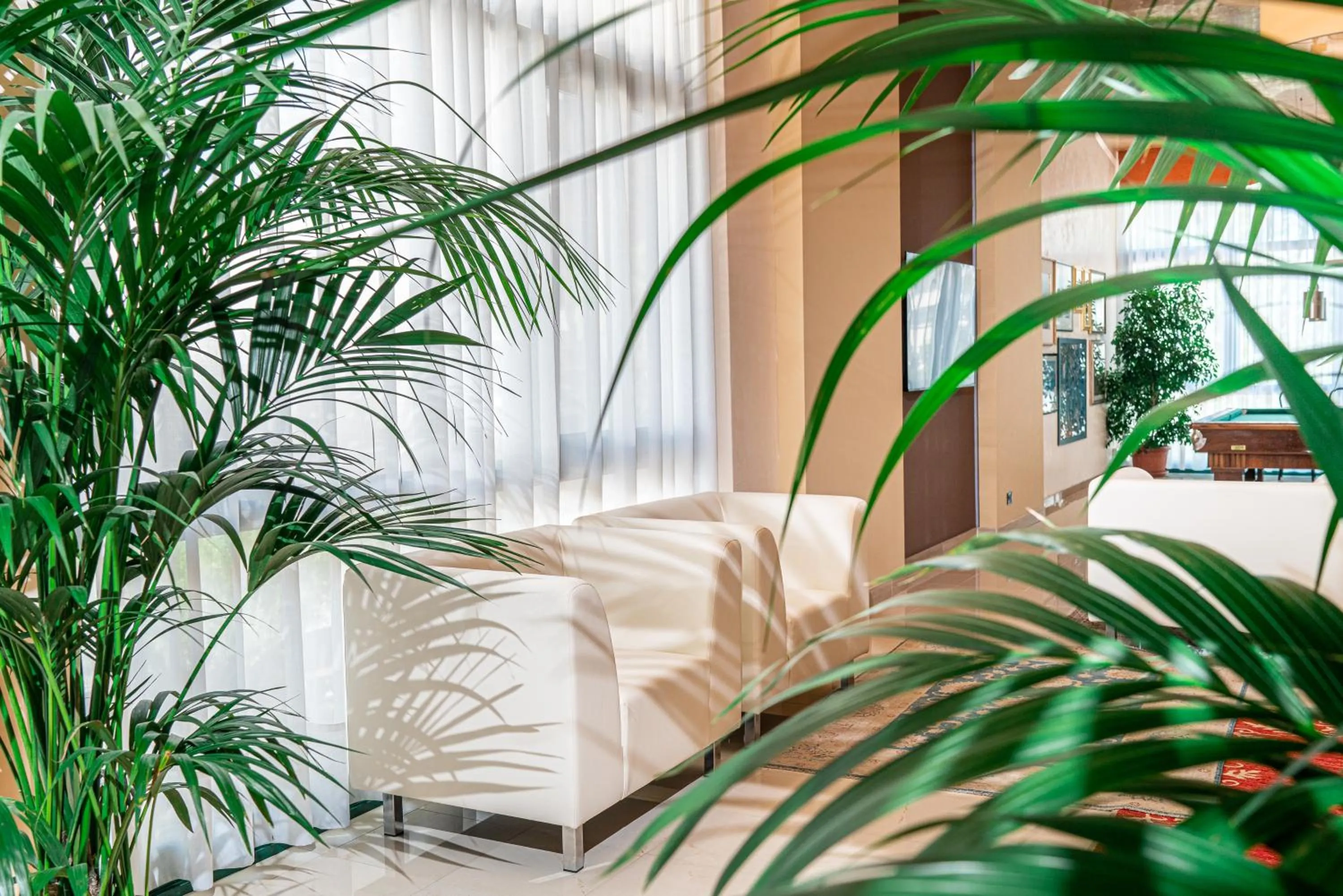 Restaurant/places to eat in Hotel Royal