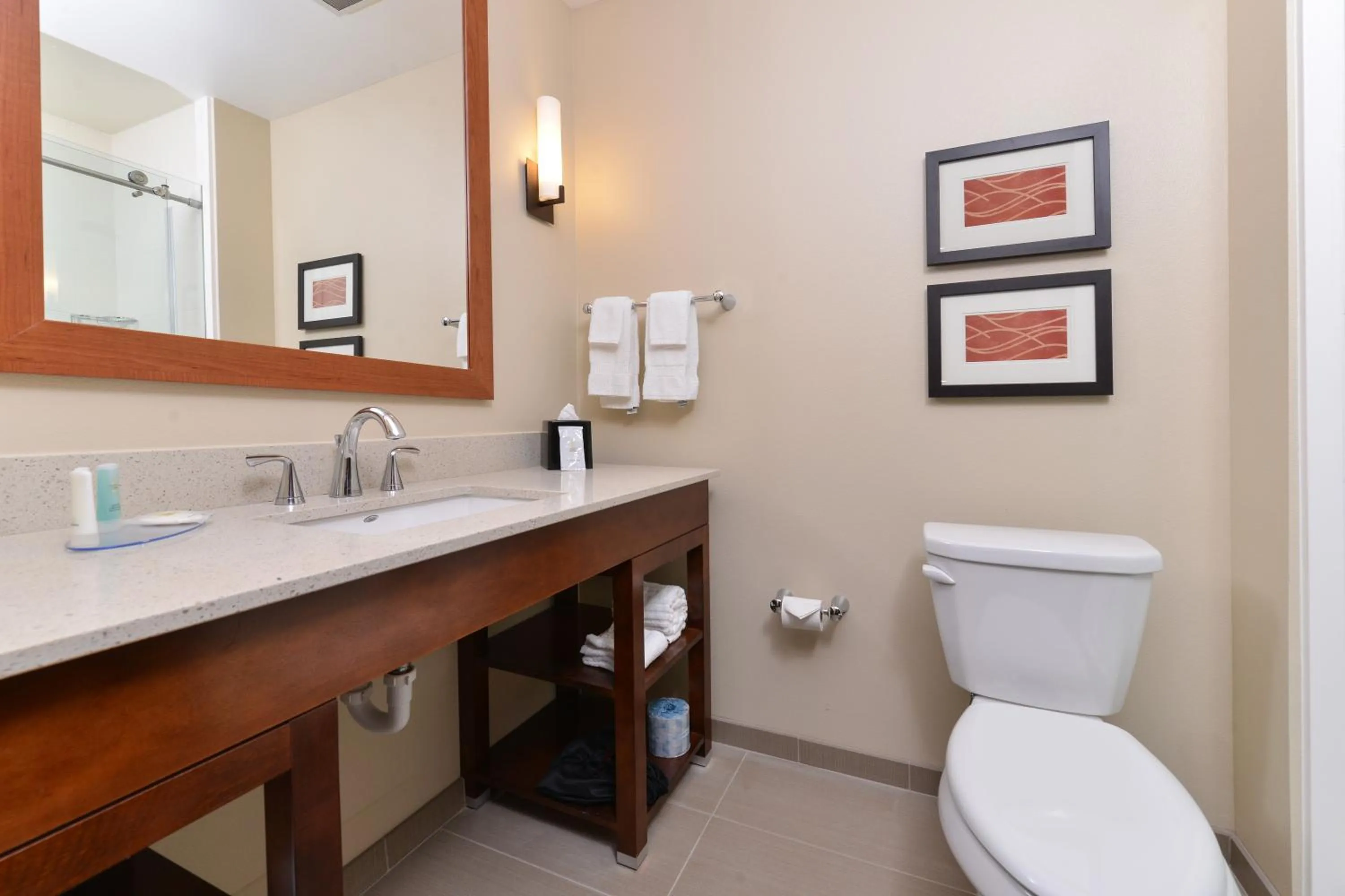Bathroom in Comfort Inn & Suites Mandan - Bismarck