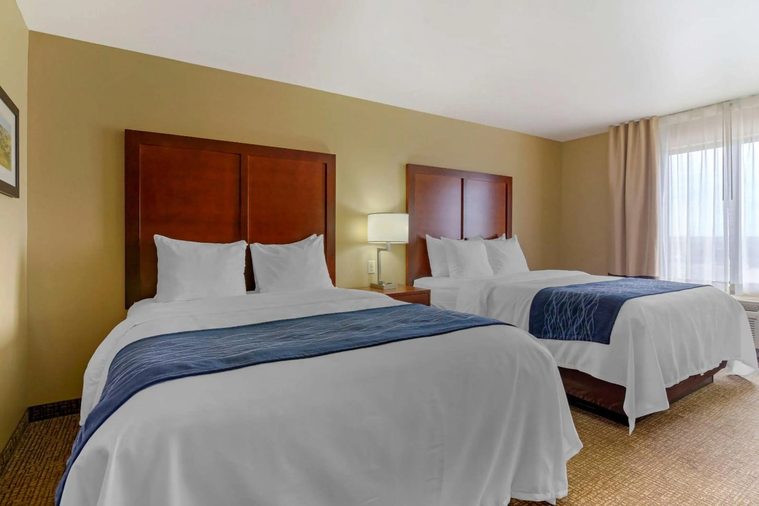 Photo of the whole room, Bed in Comfort Inn & Suites Mandan - Bismarck