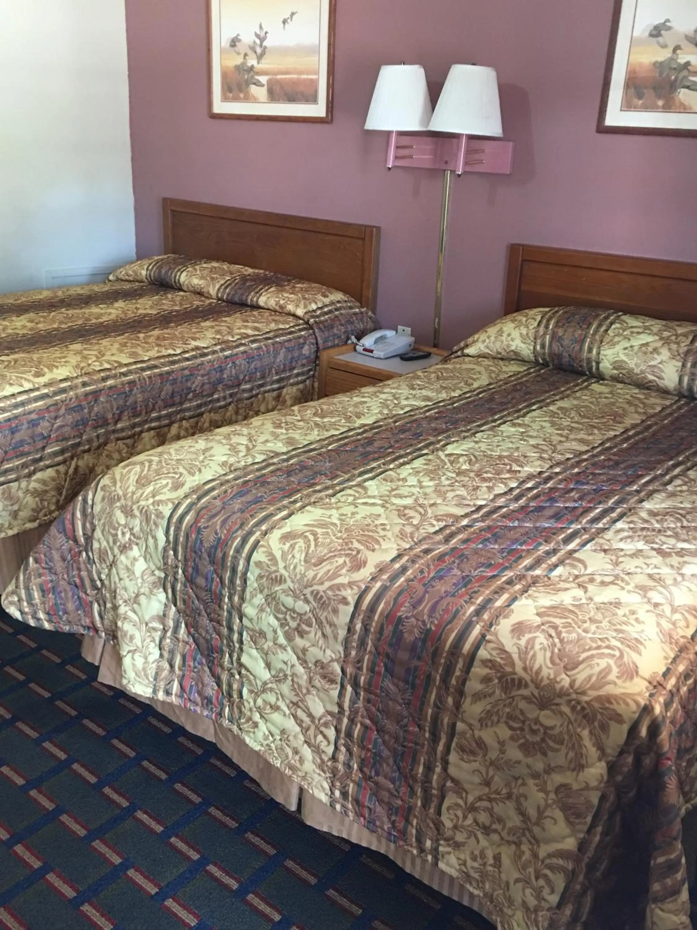 Photo of the whole room, Bed in Best Value Inn Motel Sandusky