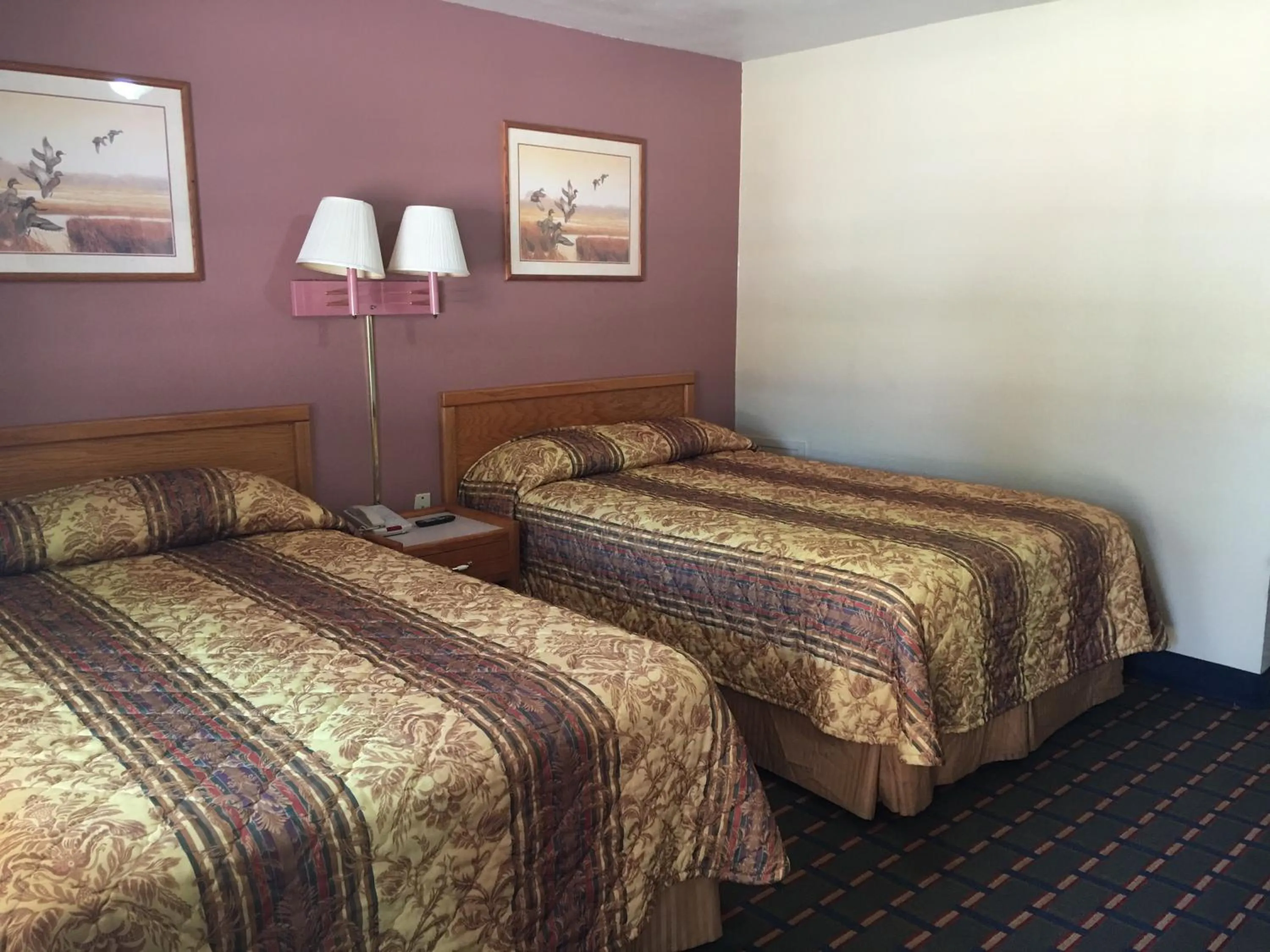 Photo of the whole room, Bed in Best Value Inn Motel Sandusky