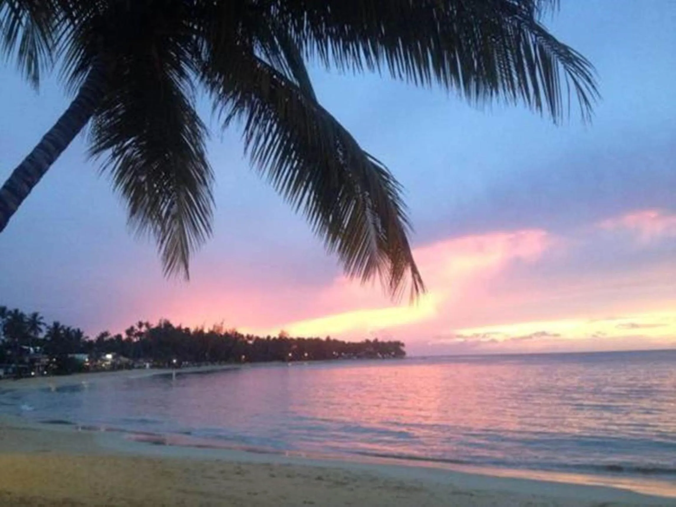 Beach in Aligio Apart-hotel & Spa - Las Terrenas