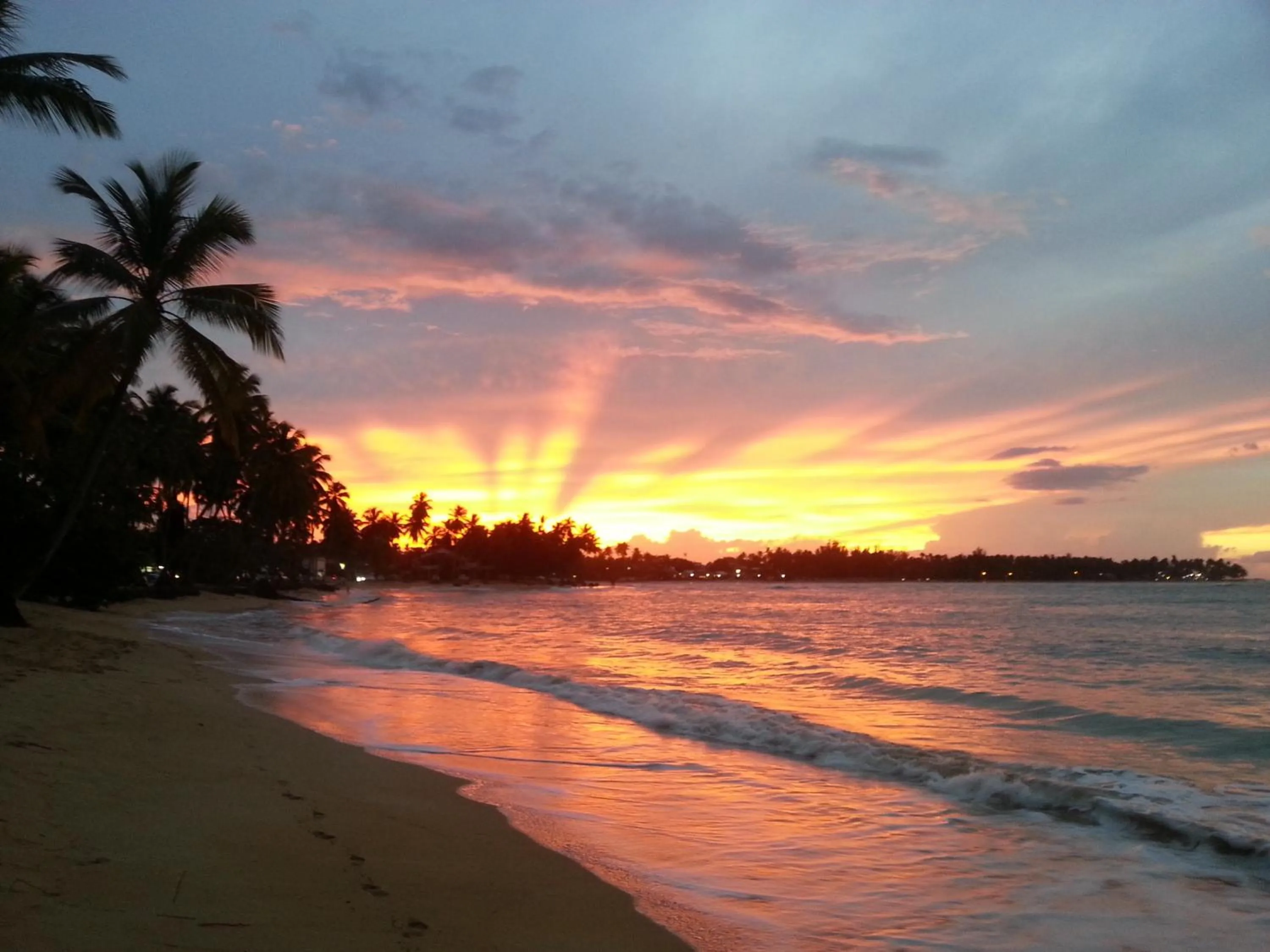 Beach in Aligio Apart-hotel & Spa - Las Terrenas