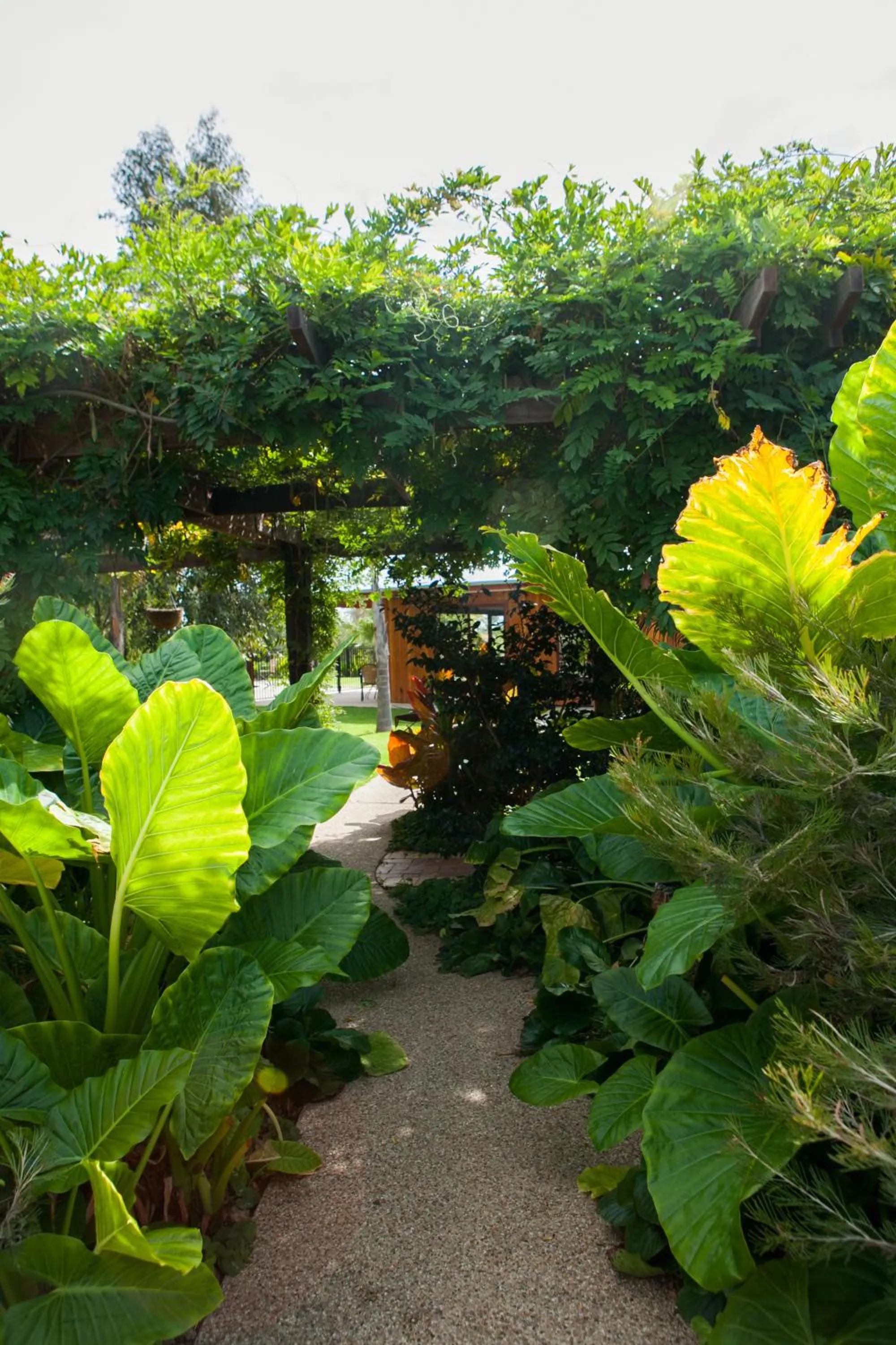 Garden in Perricoota Vines Retreat