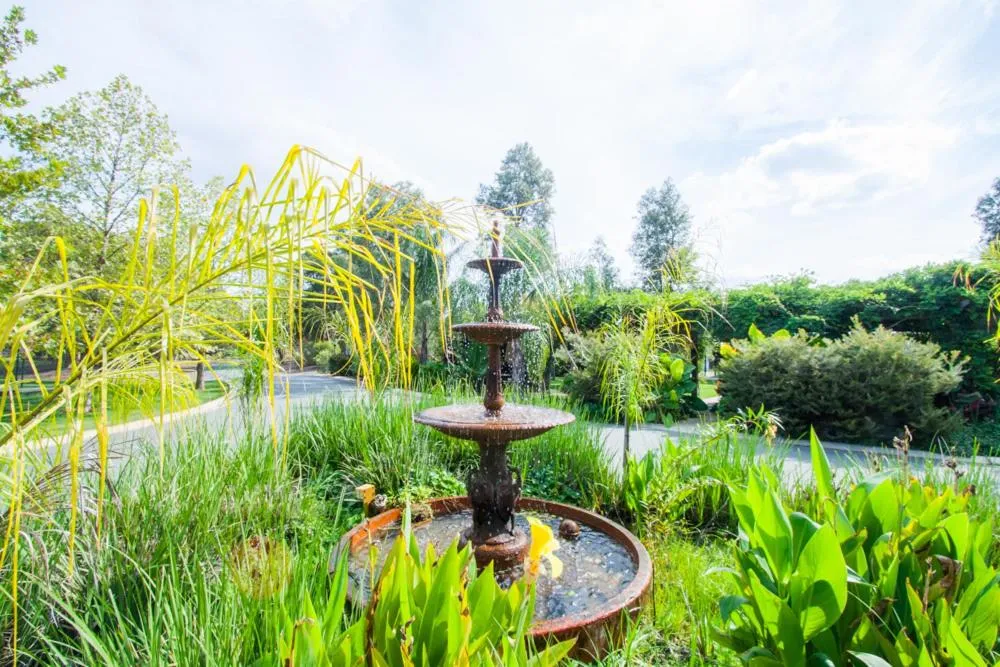 Garden in Perricoota Vines Retreat