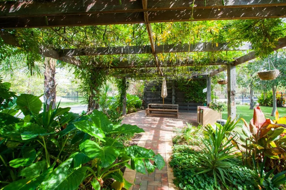 Summer in Perricoota Vines Retreat