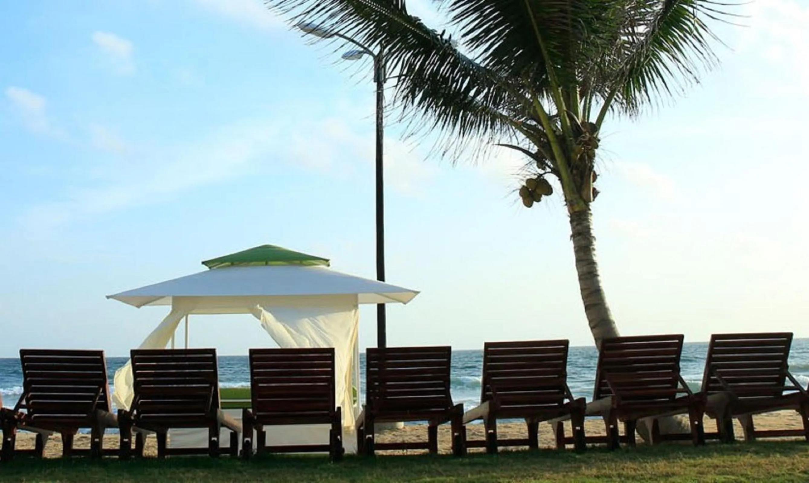 Garden in Avenra Beach Hikkaduwa