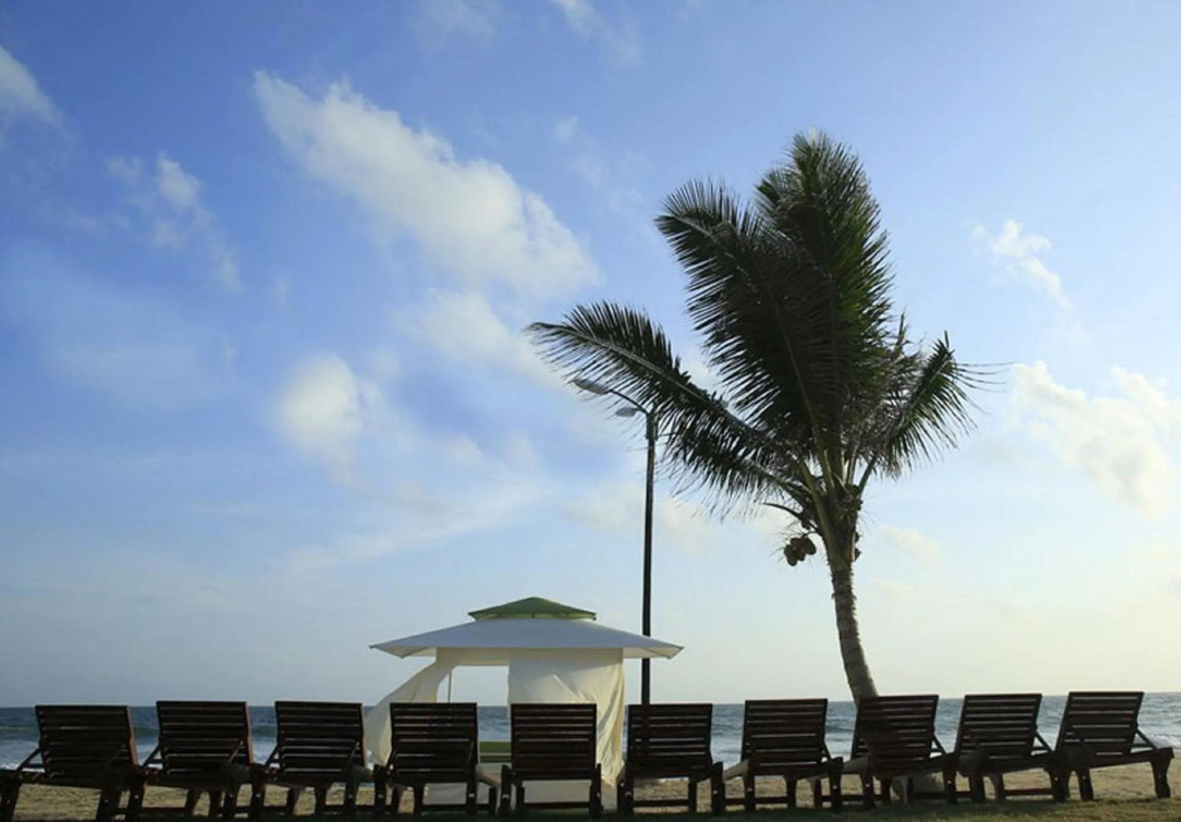 Garden in Avenra Beach Hikkaduwa