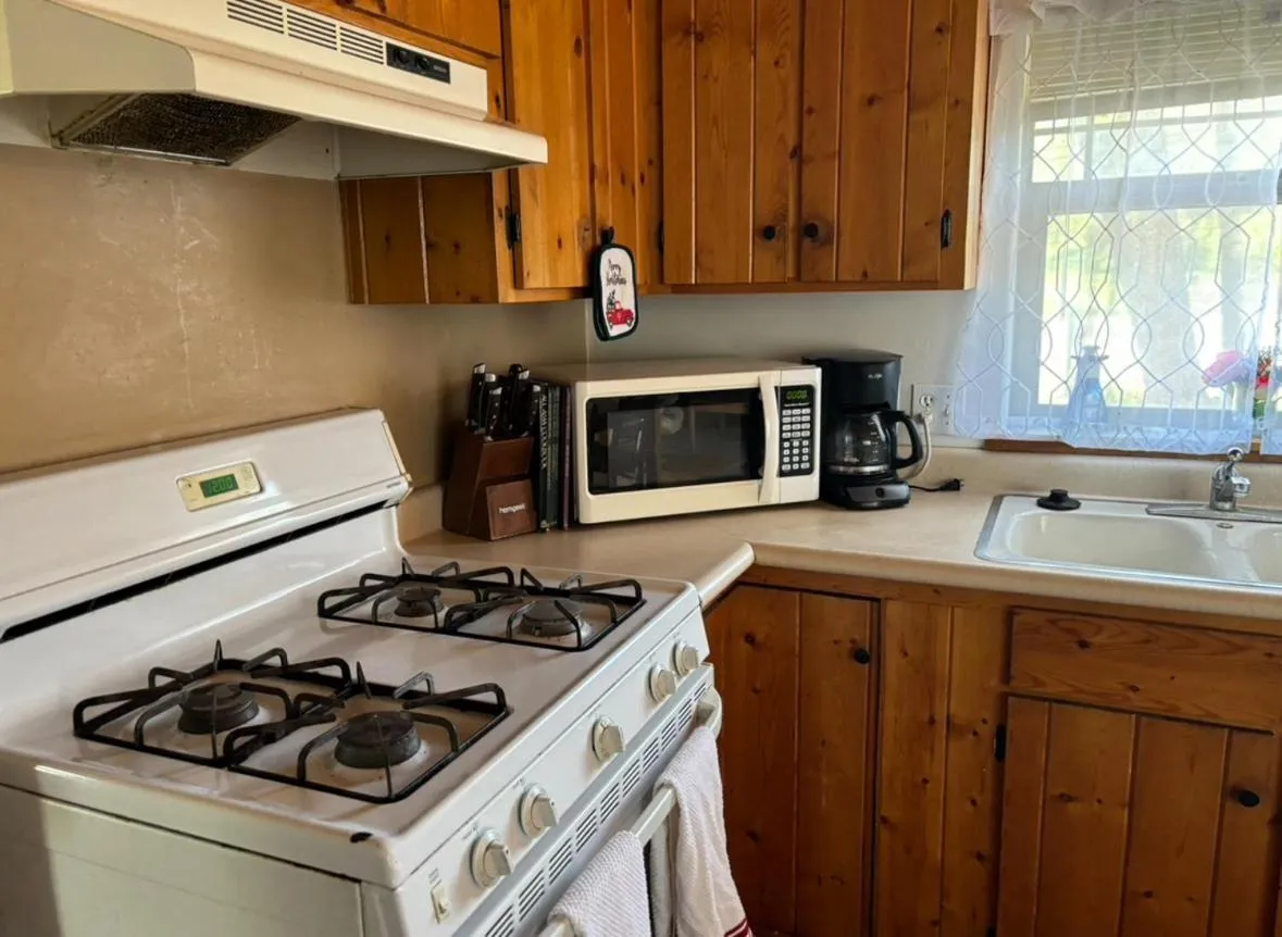 Kitchen or kitchenette in Sequoia River Front Cabins