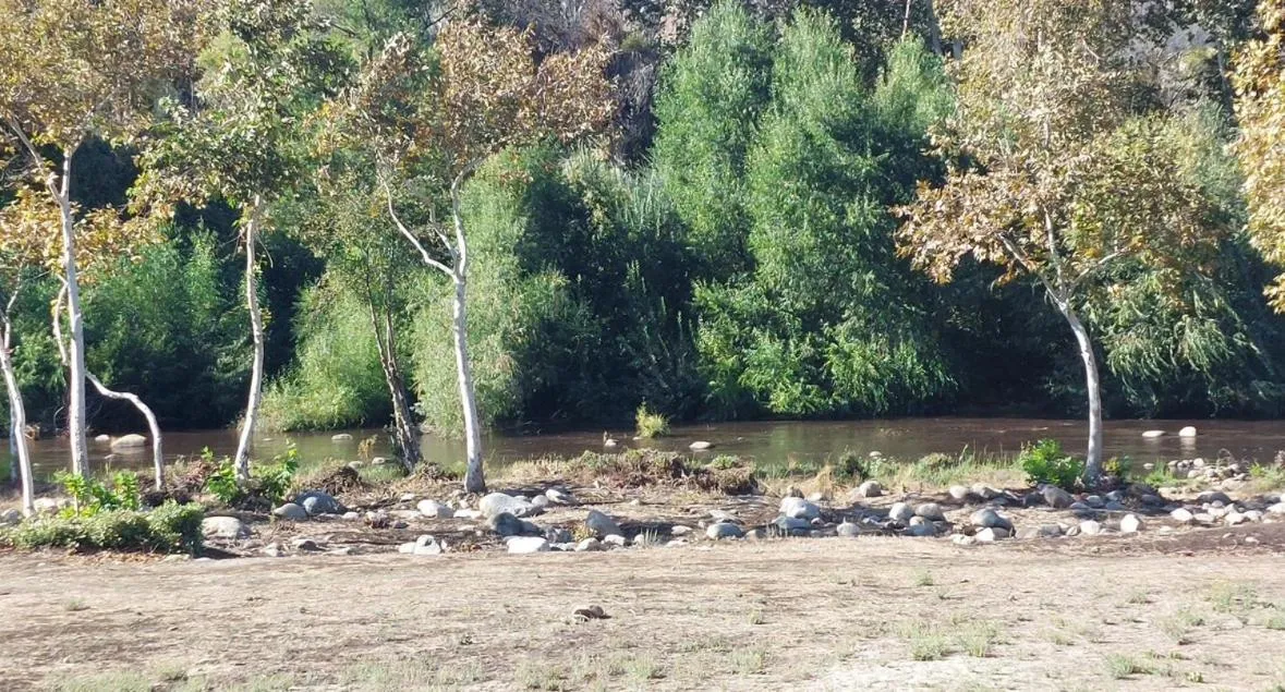 Natural landscape in Sequoia River Front Cabins