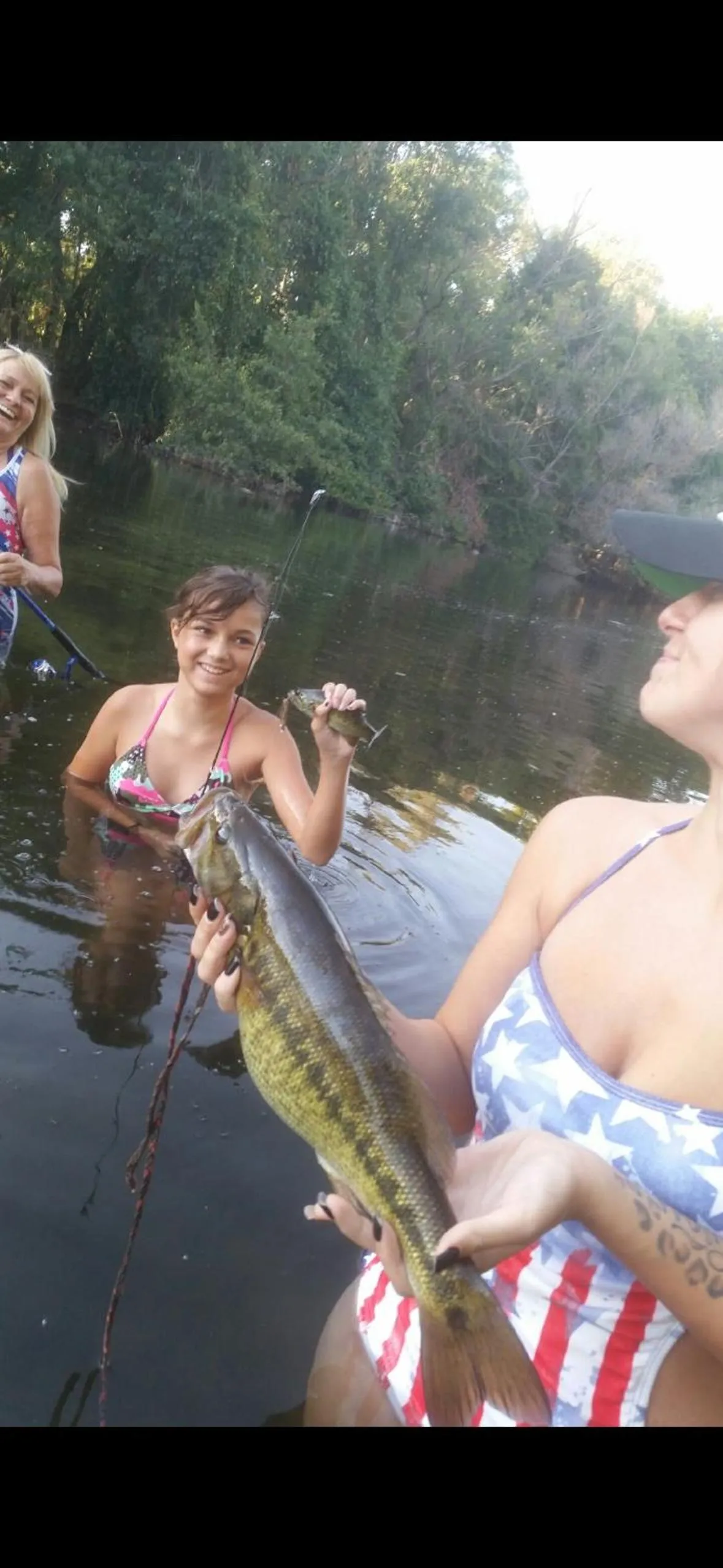 Natural landscape in Sequoia River Front Cabins