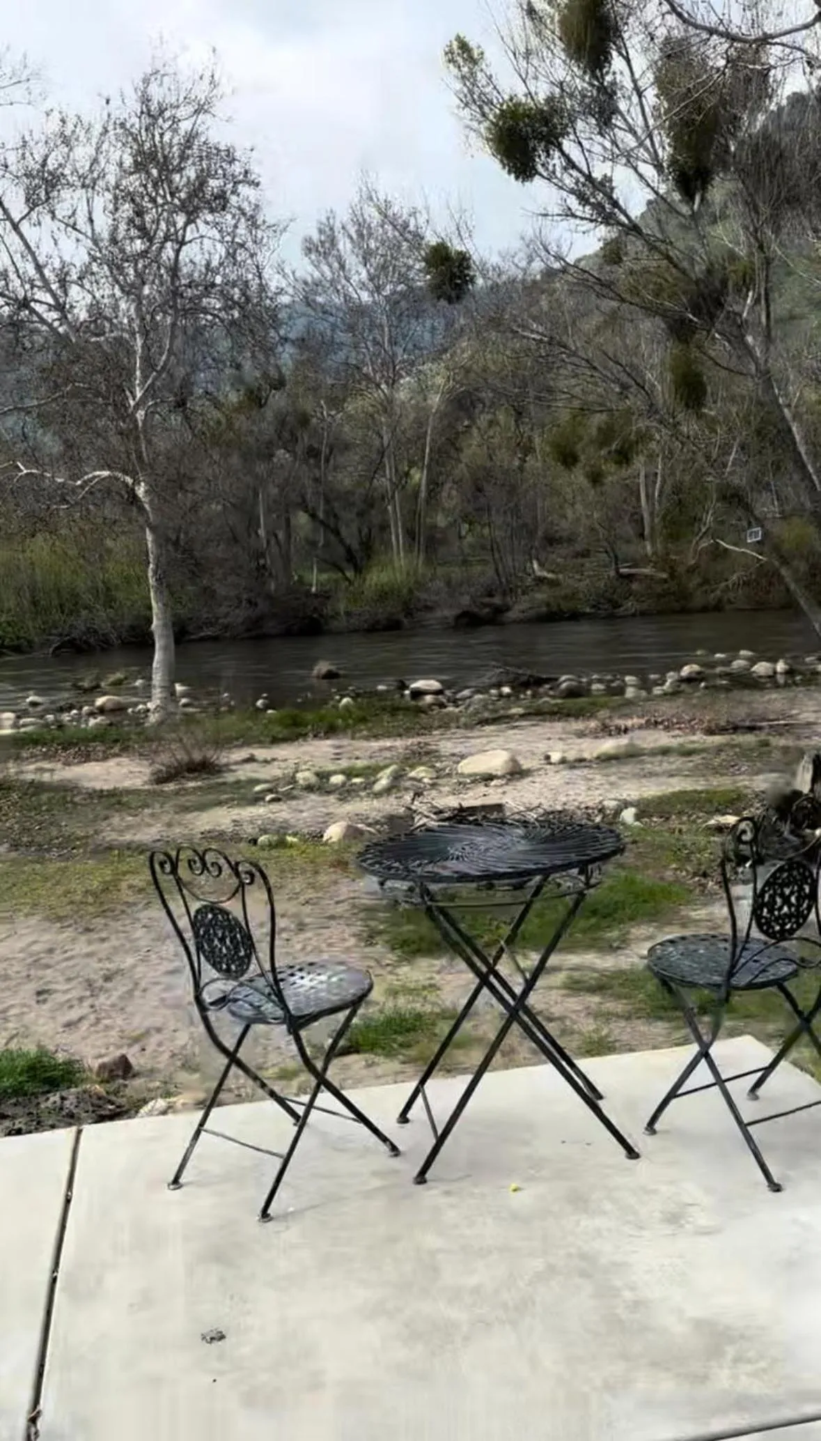 Natural landscape in Sequoia River Front Cabins