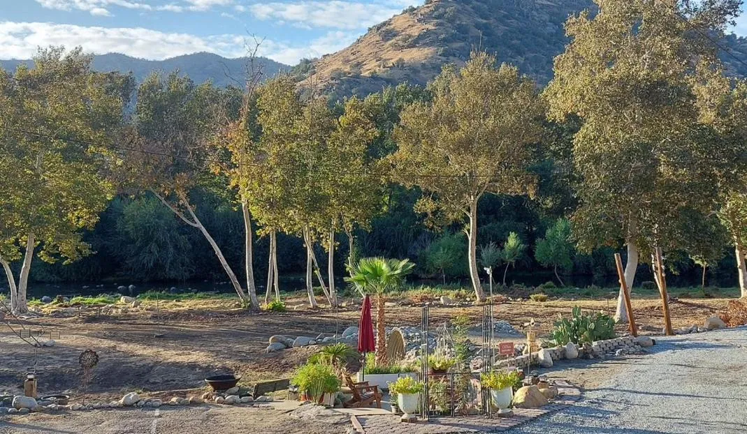 Natural landscape in Sequoia River Front Cabins