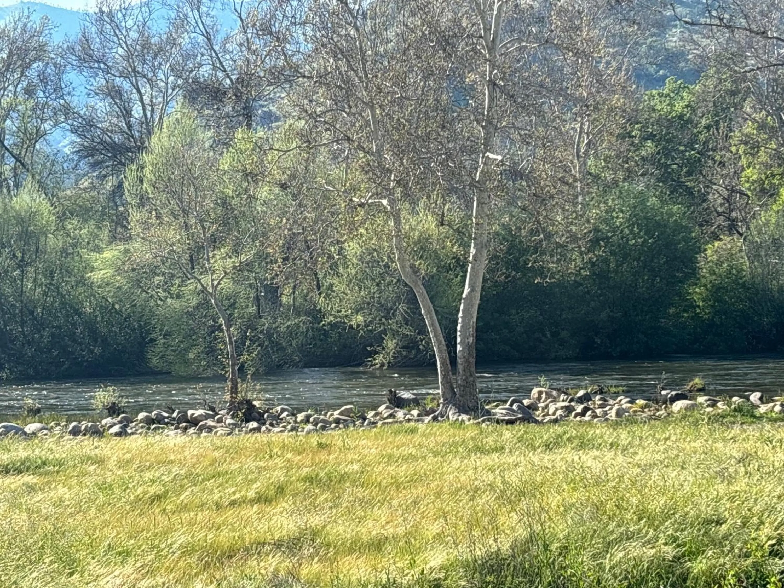 River view in Sequoia River Front Cabins