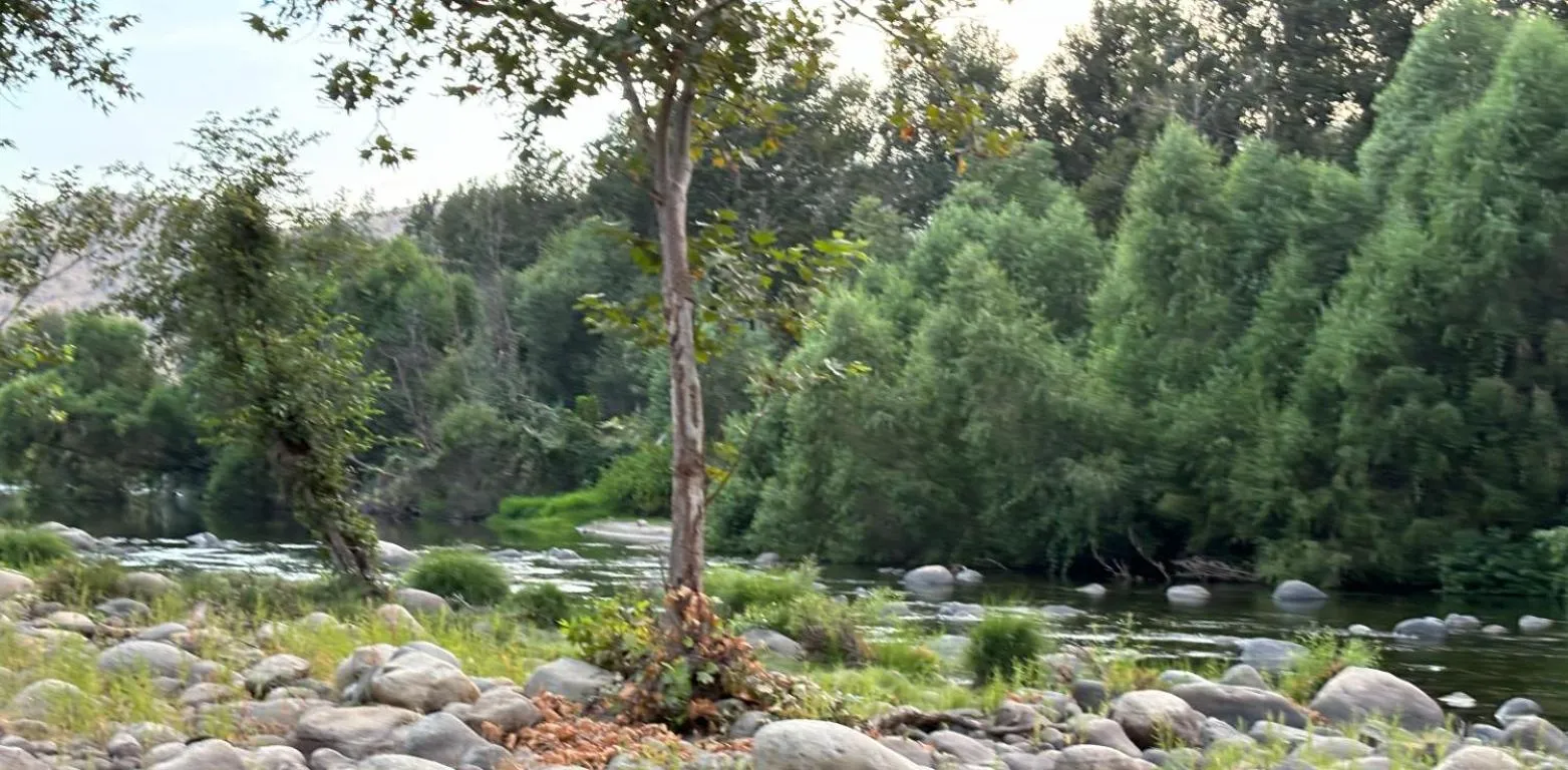 Sequoia River Front Cabins