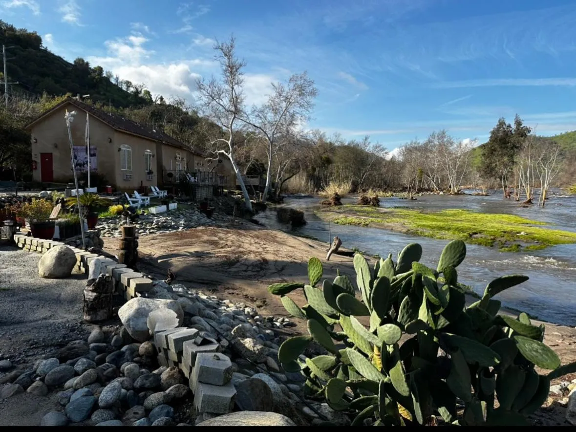 River view in Sequoia River Front Cabins