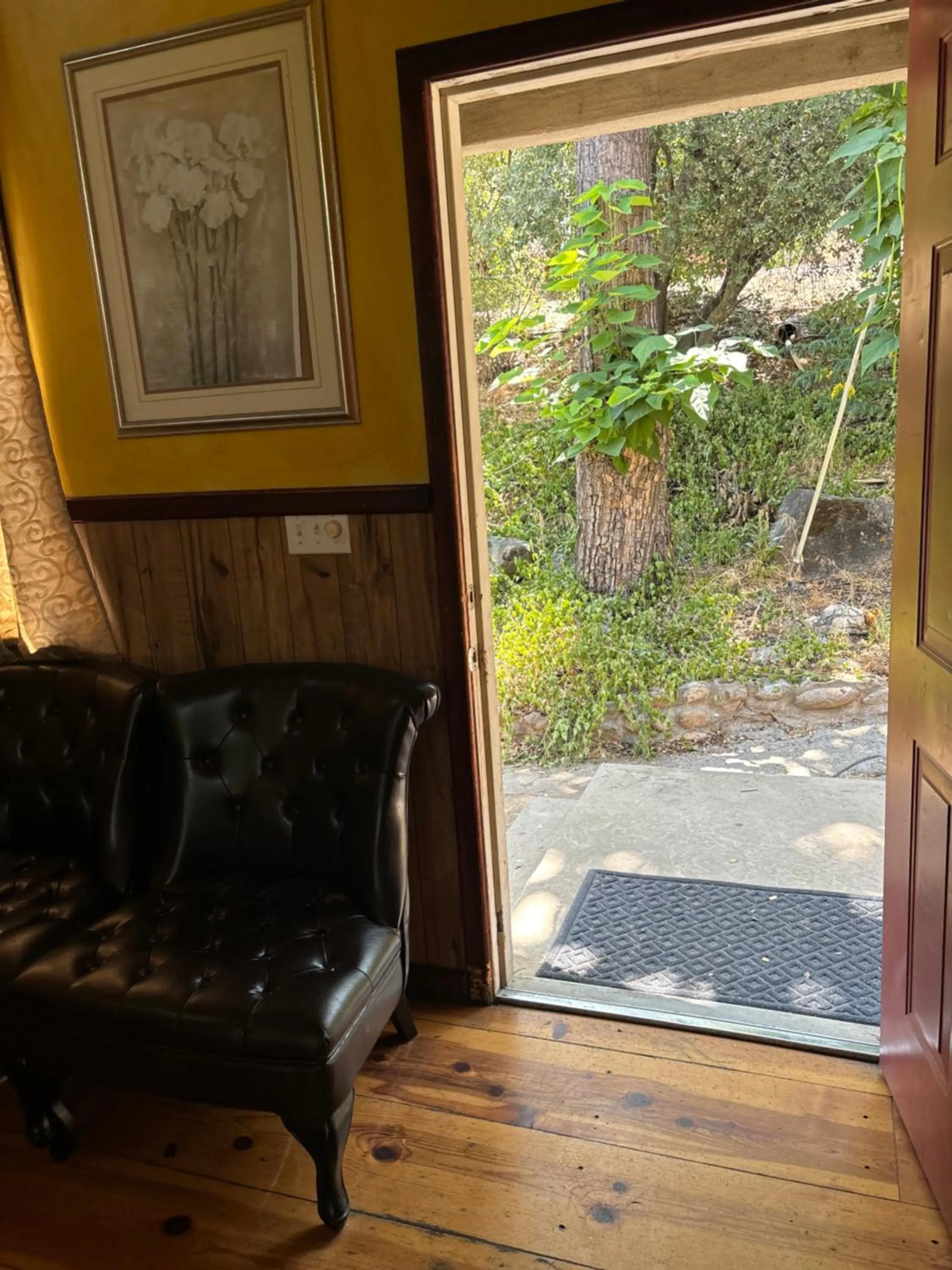 Garden in Sequoia River Front Cabins