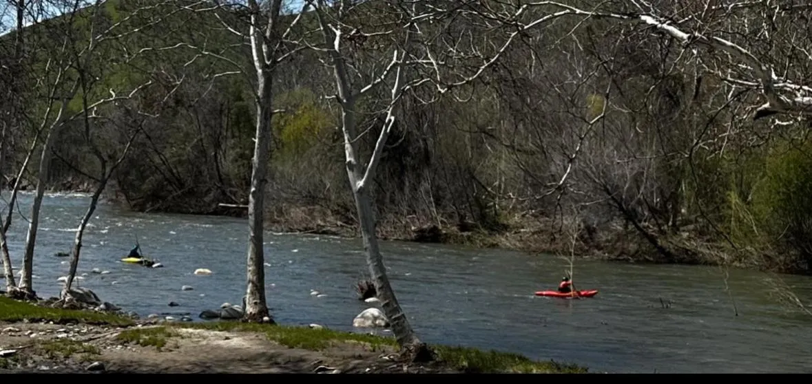 Activities in Sequoia River Front Cabins
