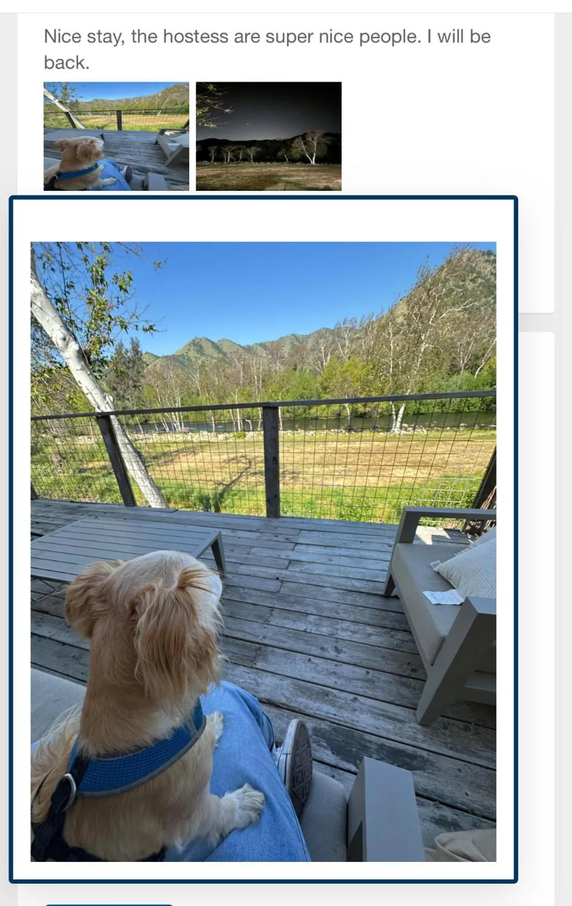 Sequoia River Front Cabins