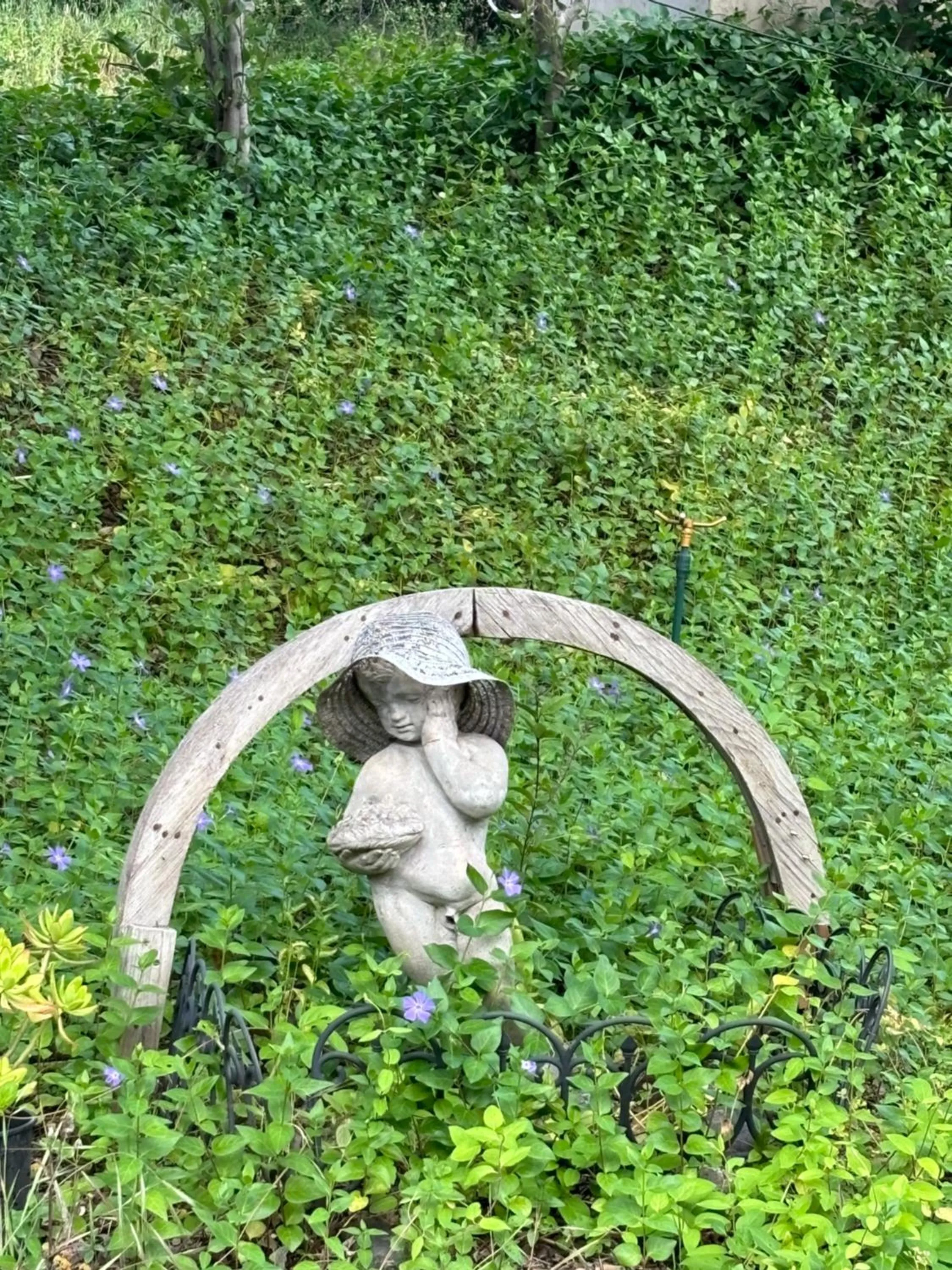 Garden in Sequoia River Front Cabins