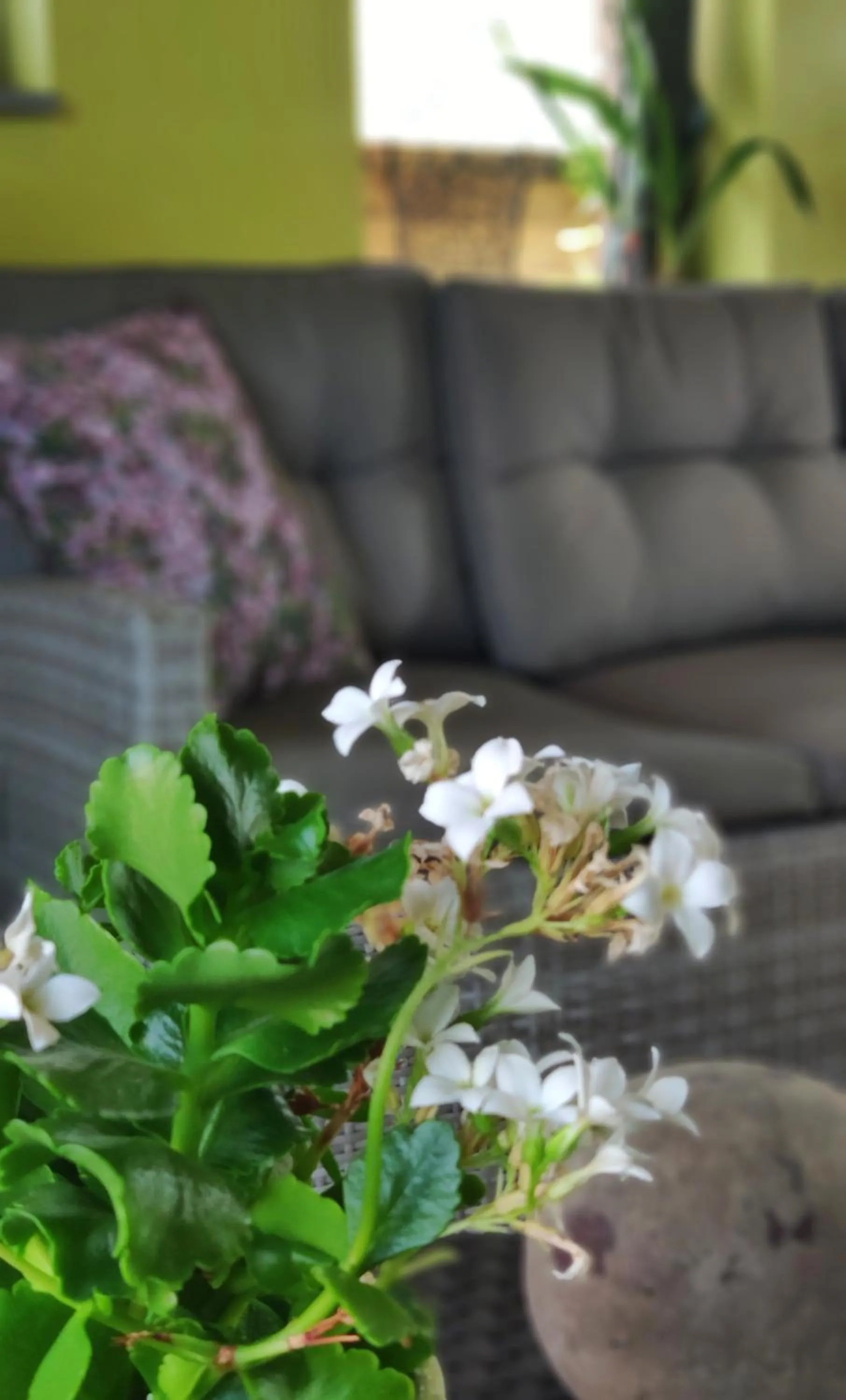 Lounge or bar in B&B Aquavert