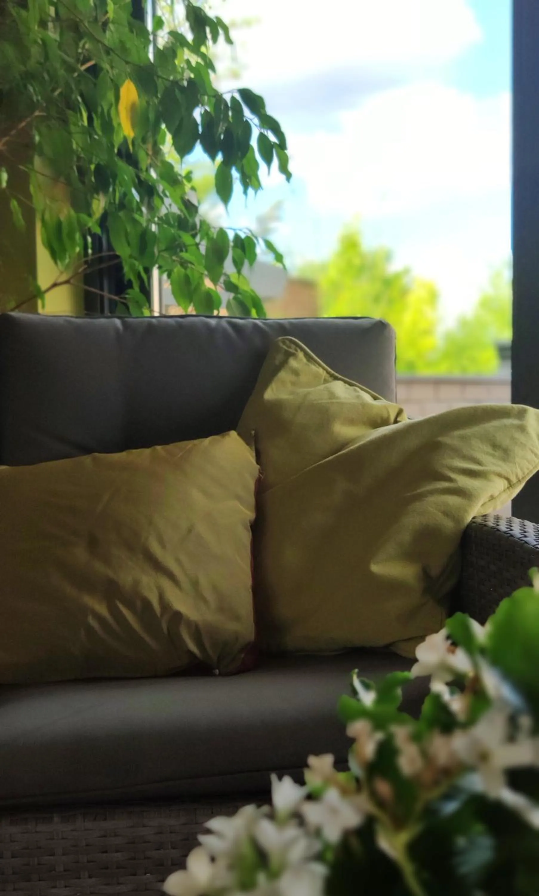 Lobby or reception in B&B Aquavert